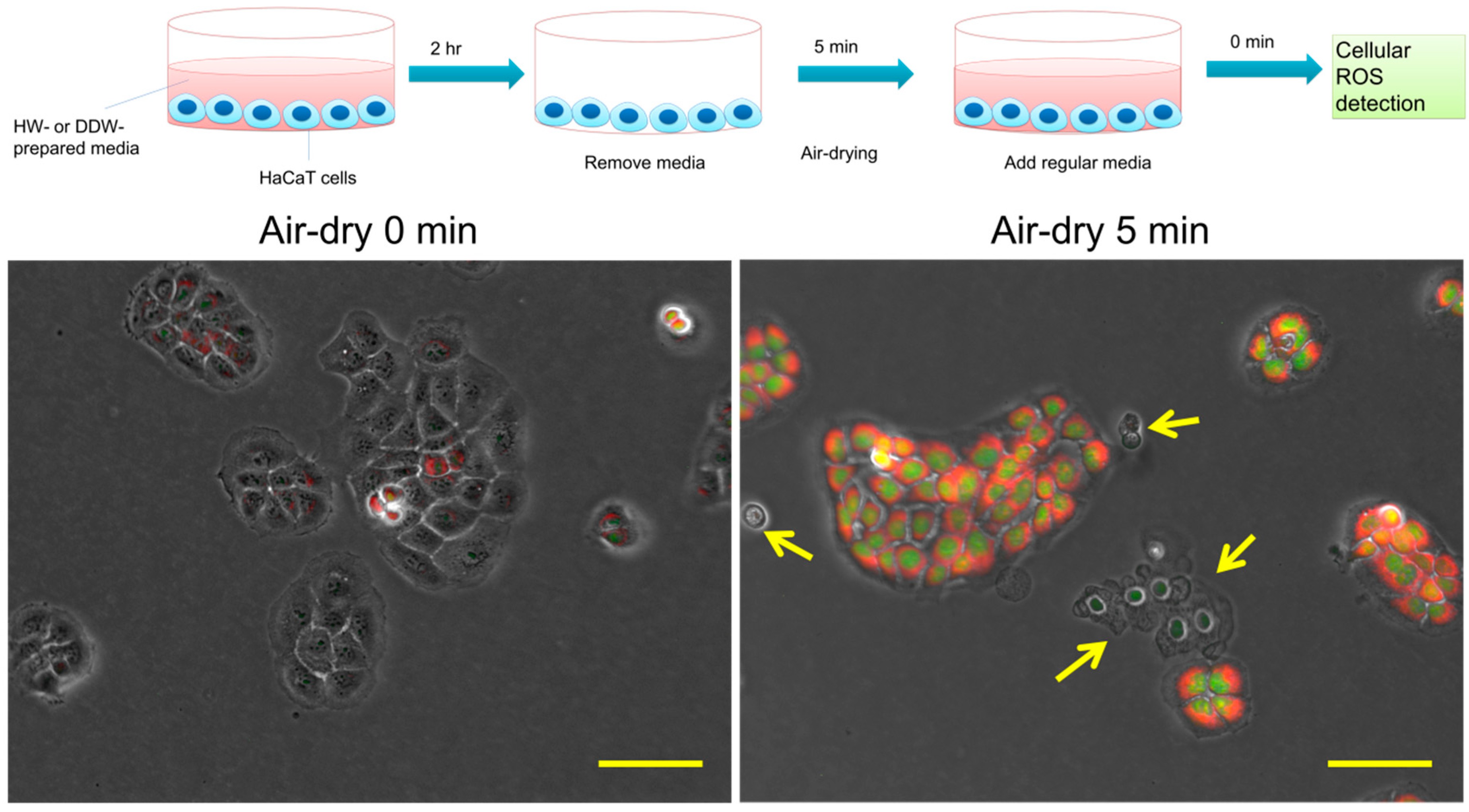 Hydrogen 03 00005 g002