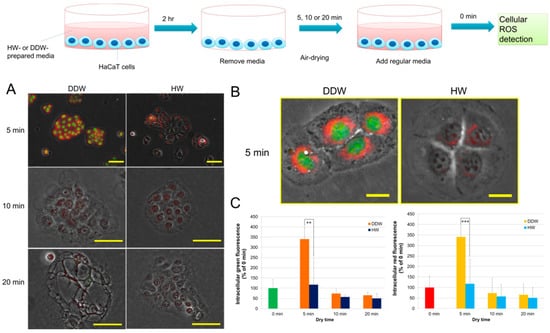 Hydrogen 03 00005 g003 550