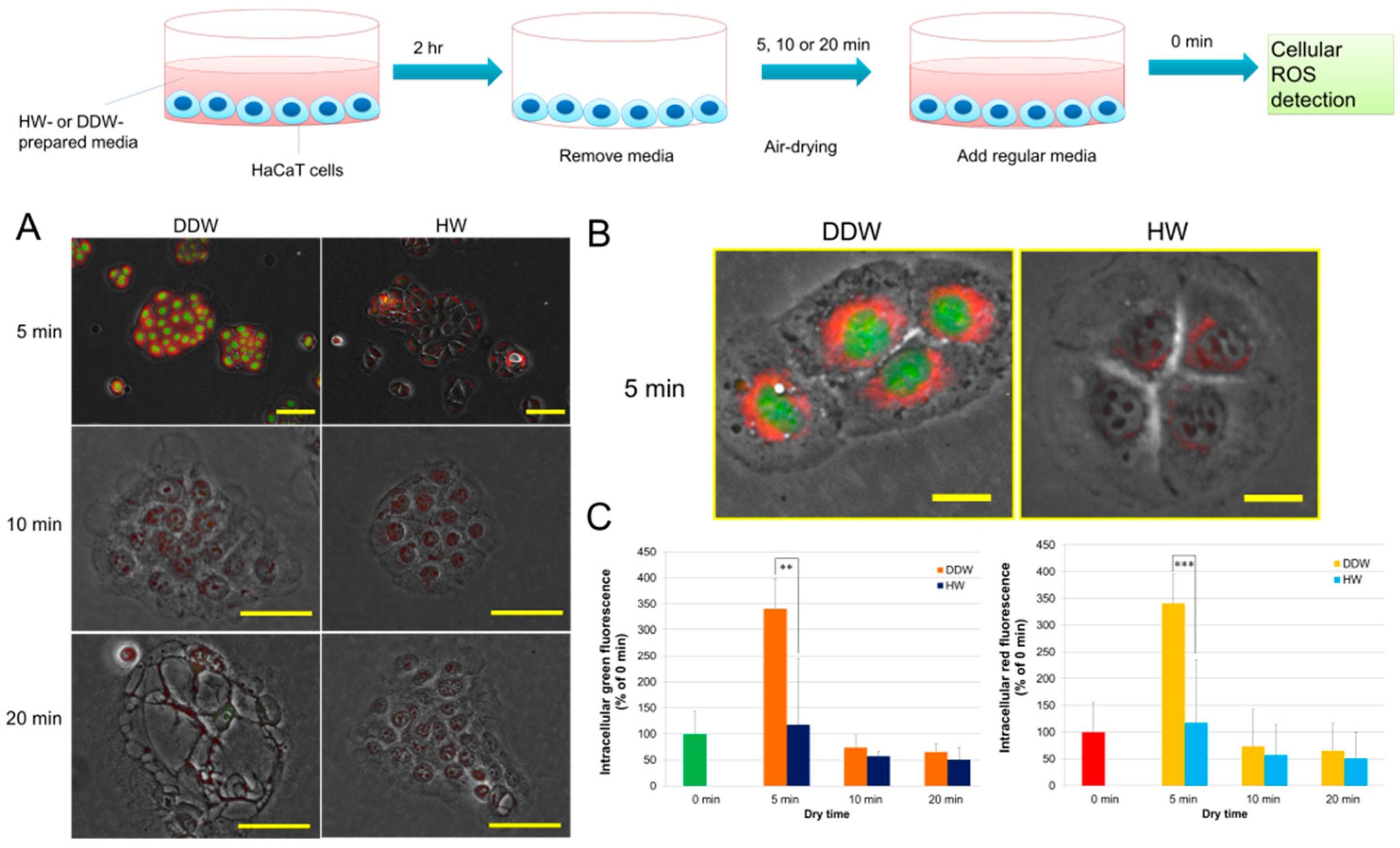 Hydrogen 03 00005 g003