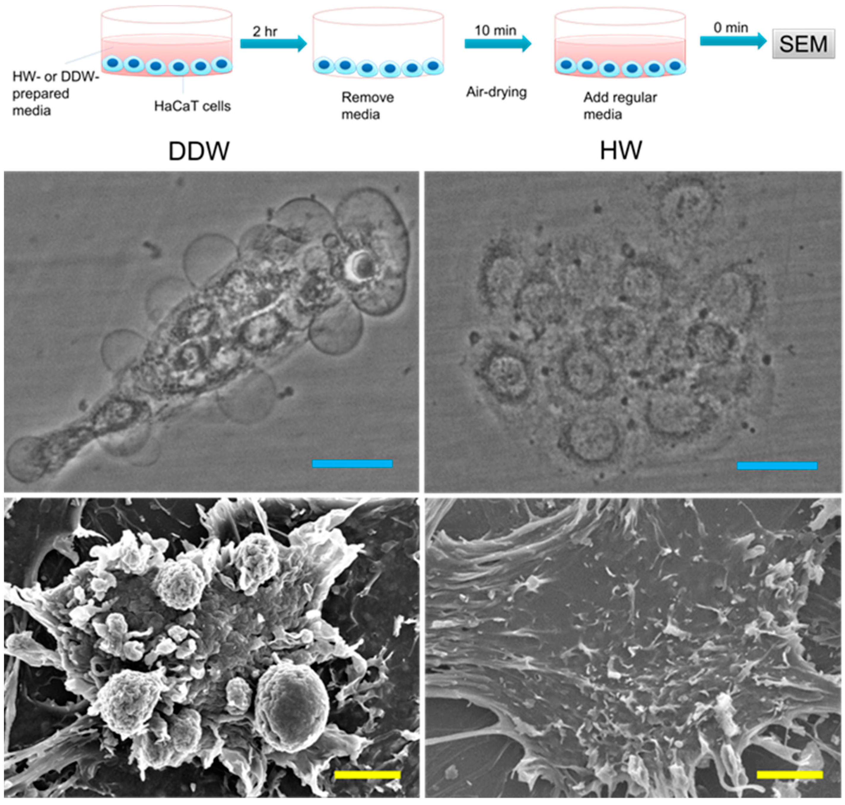 Hydrogen 03 00005 g004