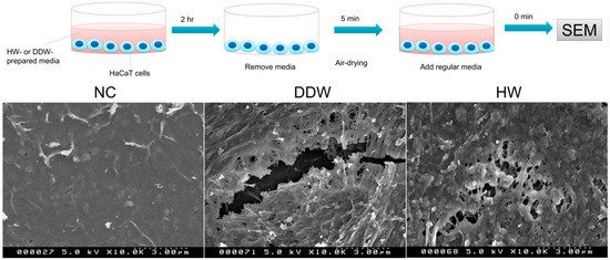 Hydrogen 03 00005 g005 550