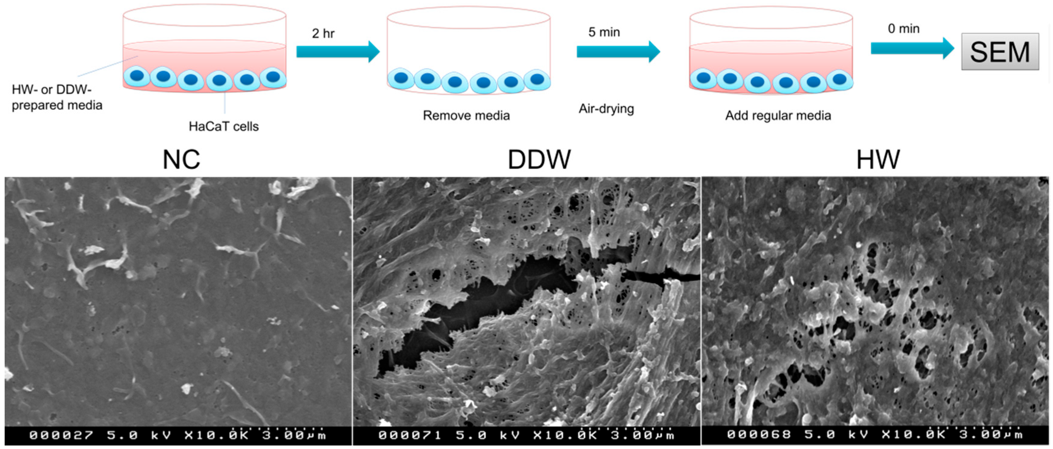 Hydrogen 03 00005 g005