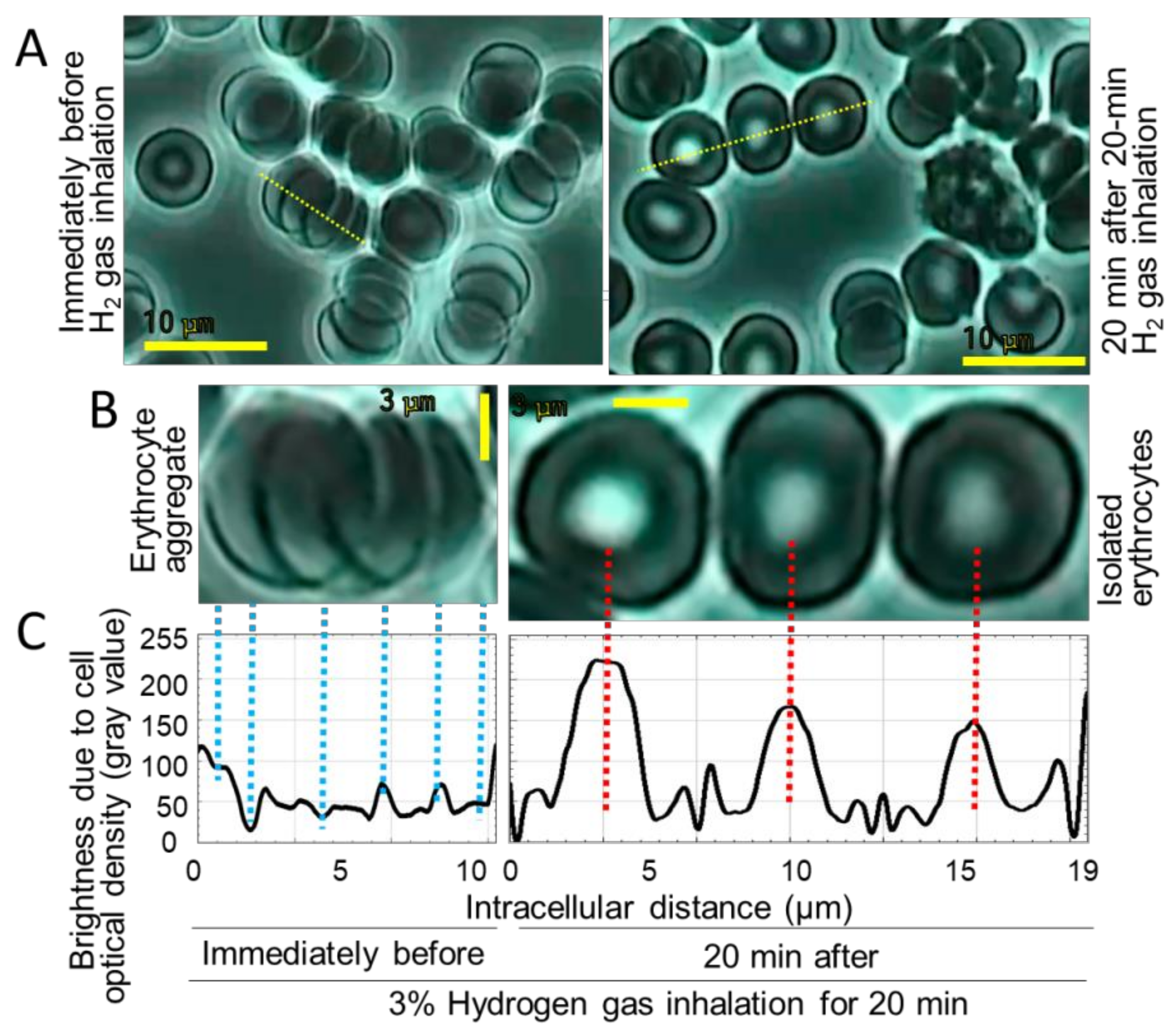 Hydrogen 03 00006 g003