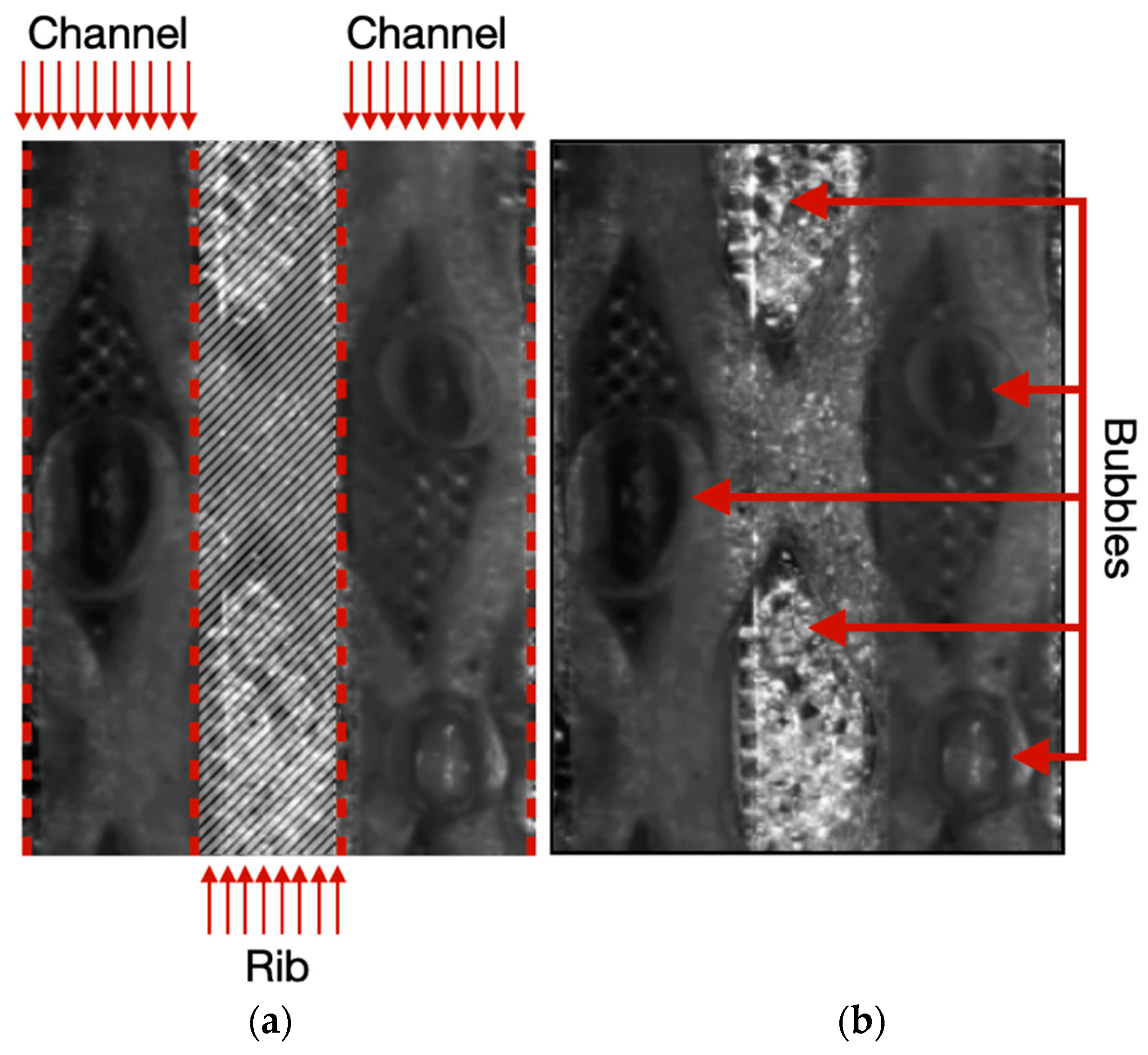 Hydrogen 04 00036 g003