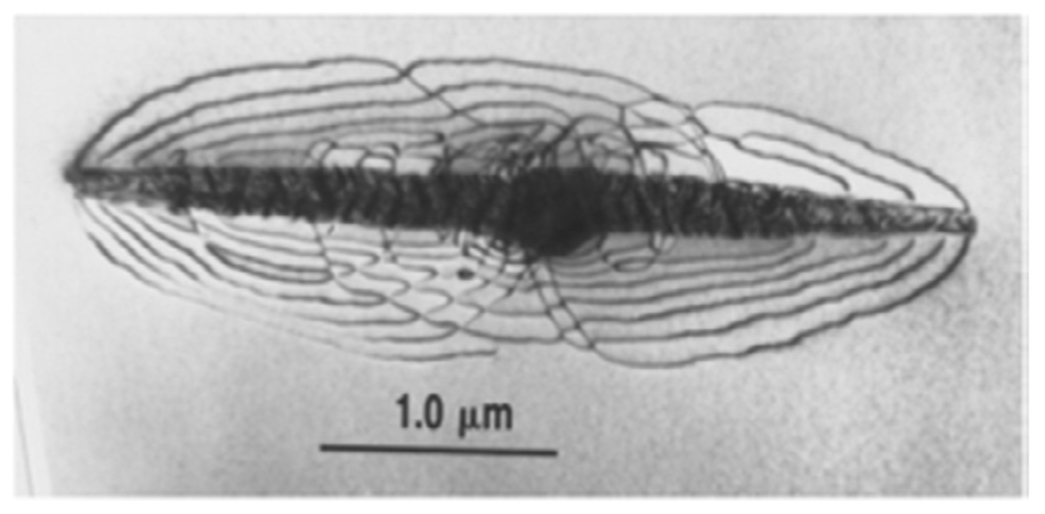 Hydrogen 07 00018 g003 Hydrogen 07 00018 g003