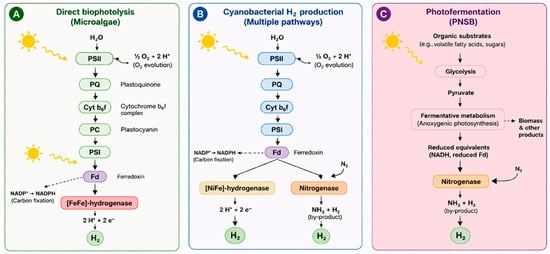 Hydrogen 07 00118 g002