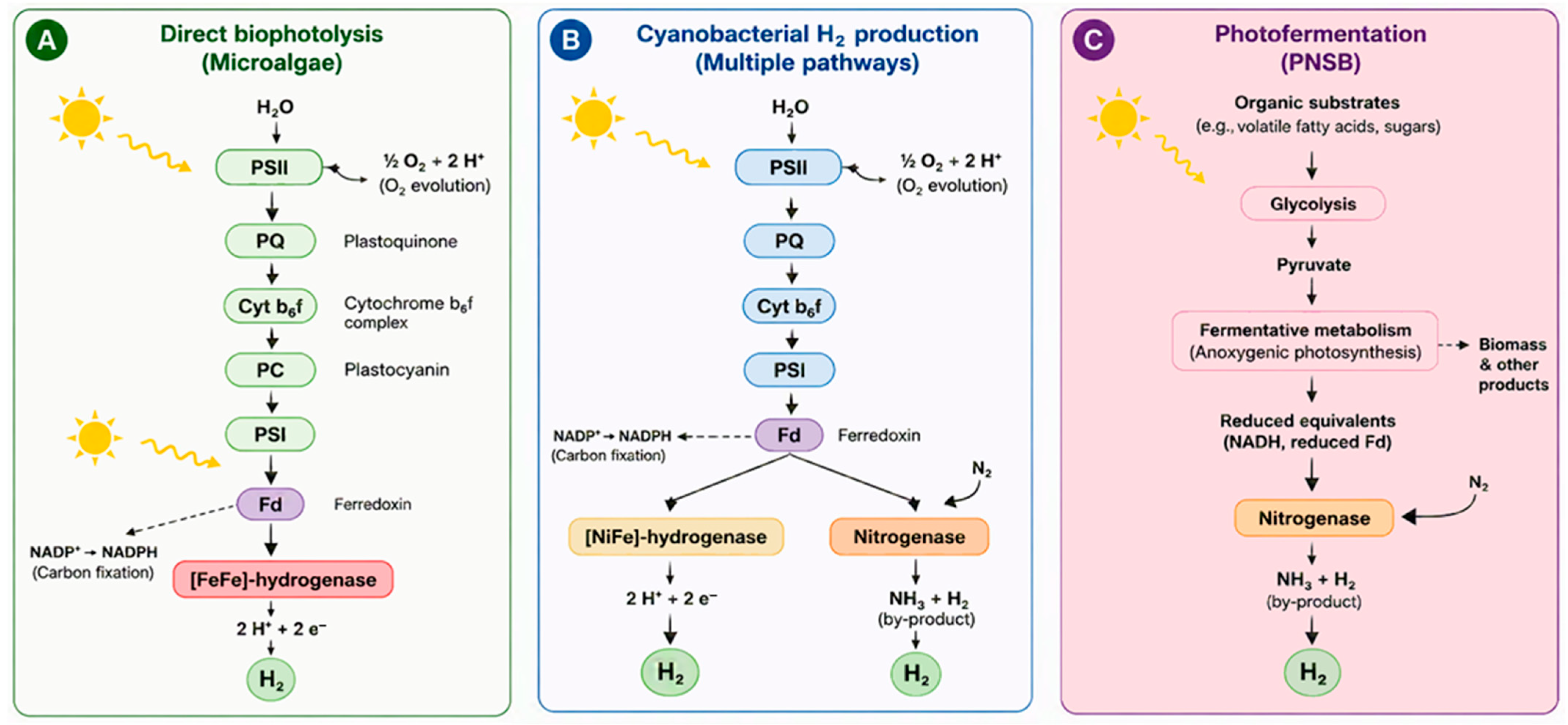 Hydrogen 07 00118 g002