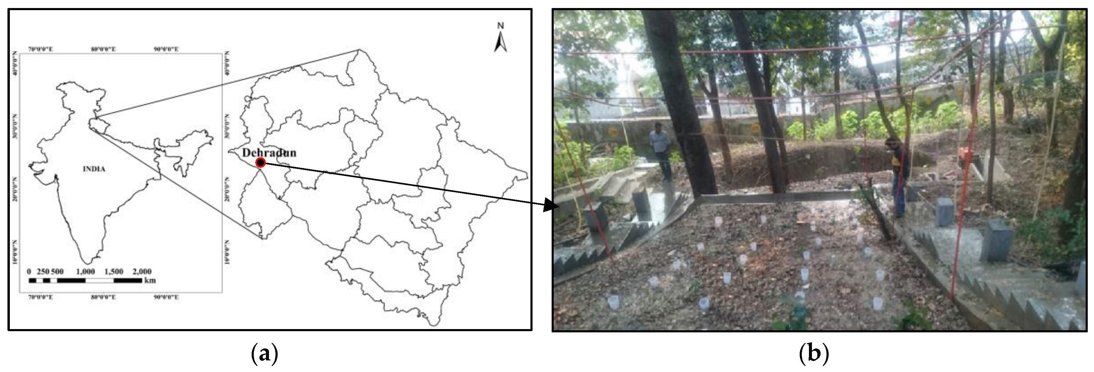 Hydrology 04 00017 g001