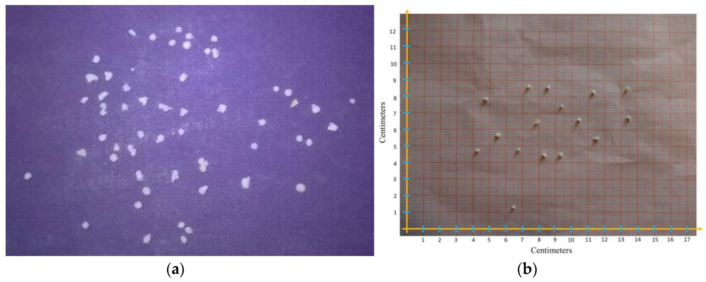 Hydrology 04 00017 g003