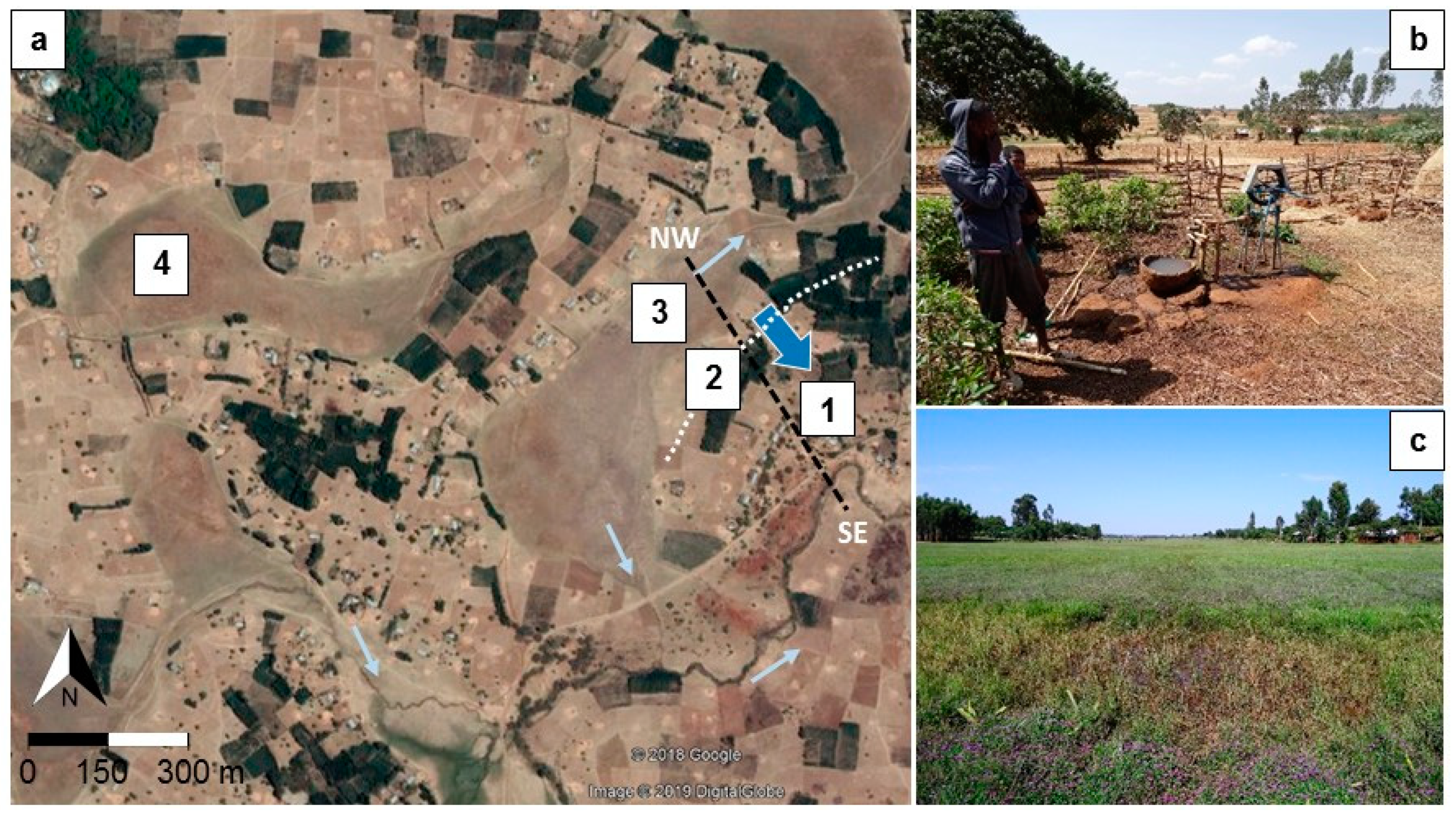 Hydrology 06 00043 g007