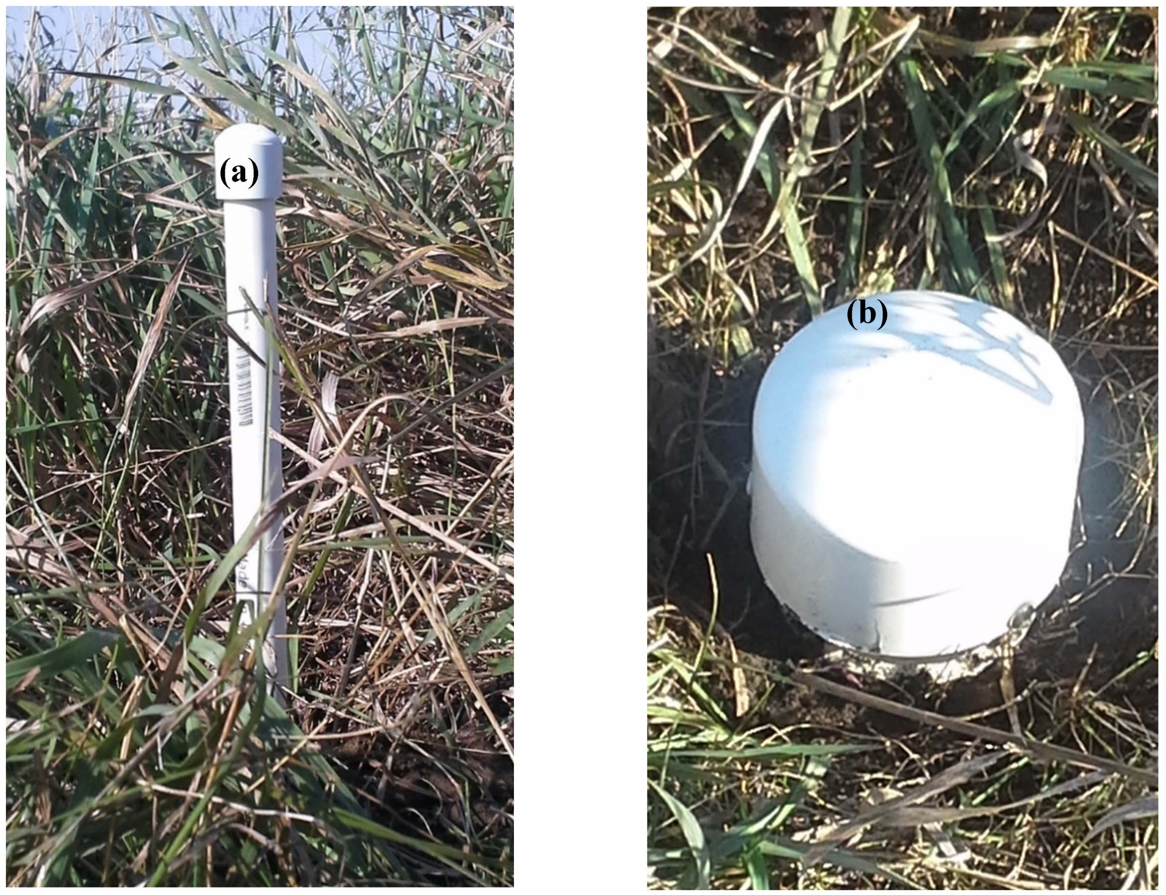 Hydrology 06 00047 g002