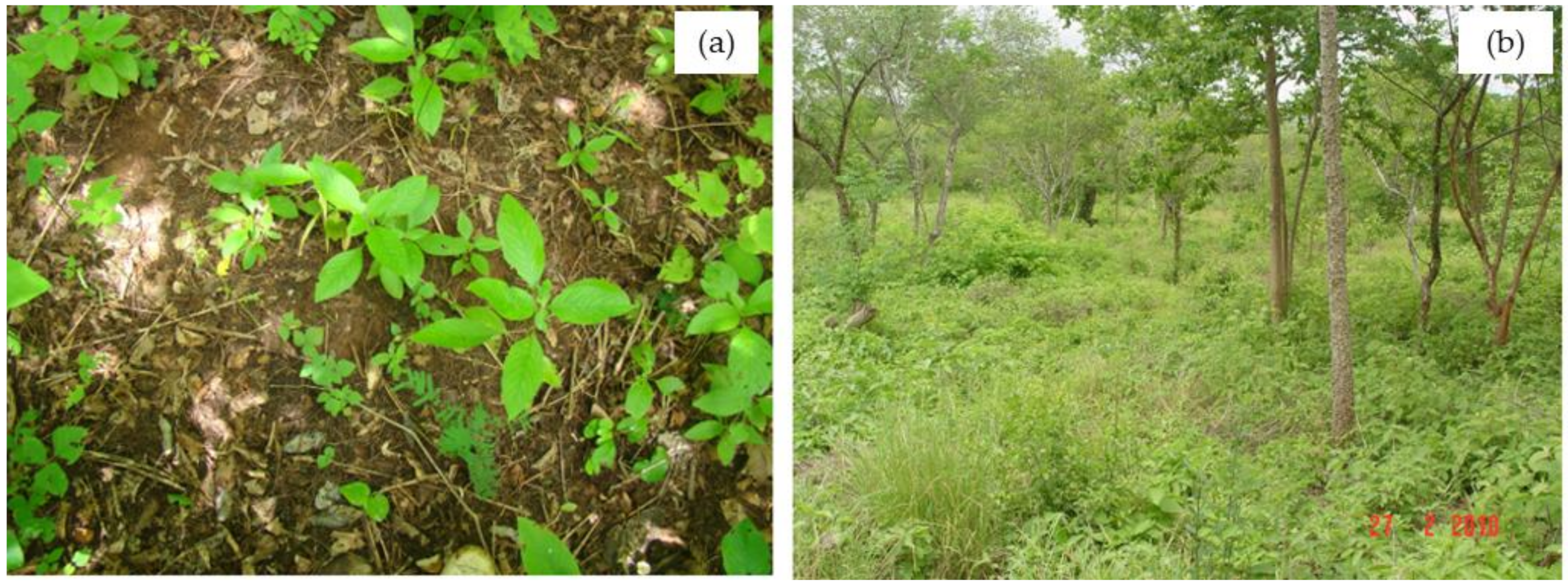 Hydrology 08 00046 g003 Hydrology 08 00046 g003
