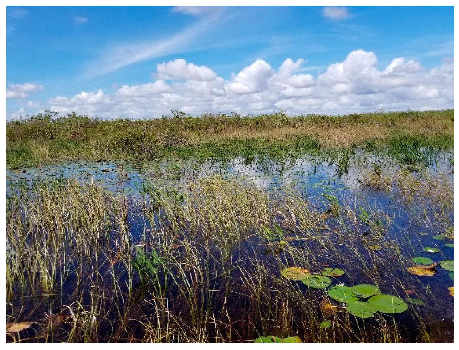 Hydrology 08 00066 g009