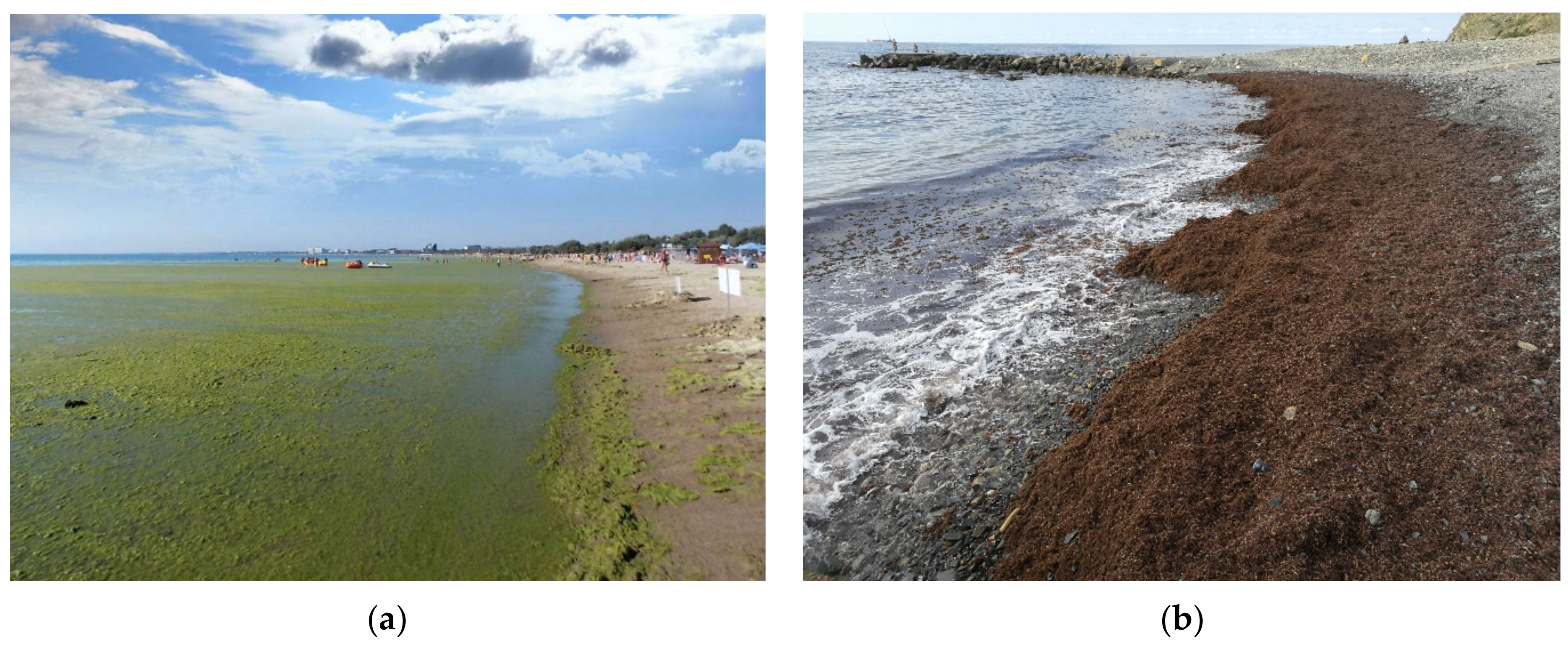 Hydrology 08 00133 g017