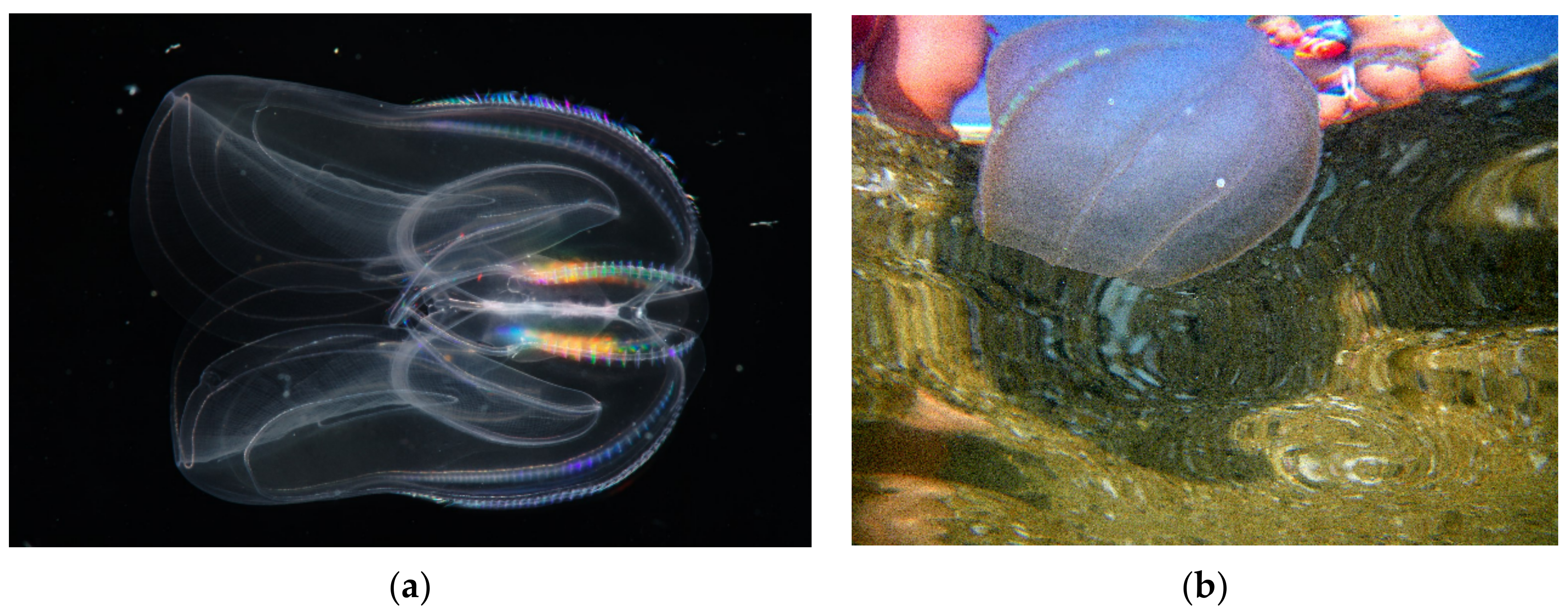 Hydrology 08 00133 g018