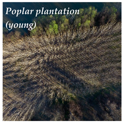 Hydrology 08 00176 i005