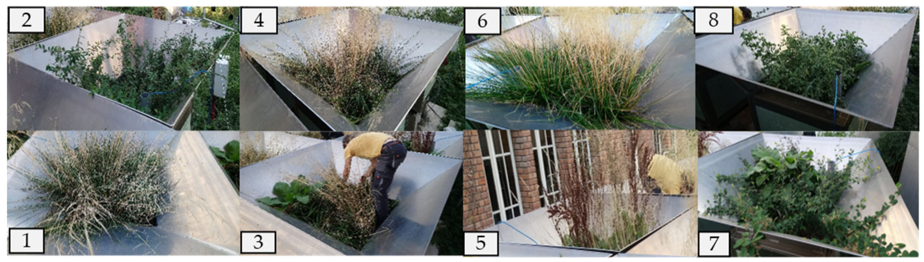 Hydrology 09 00042 g0a2