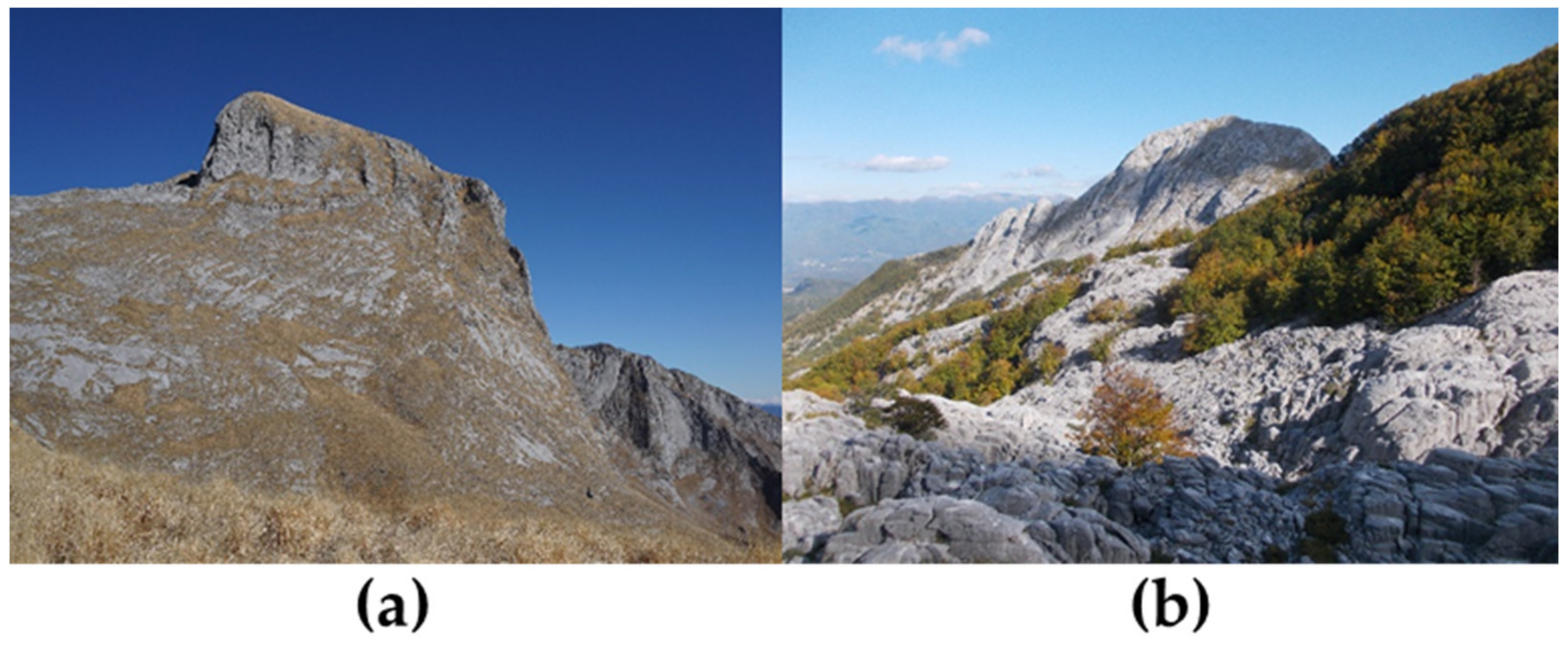 Hydrology 09 00083 g001