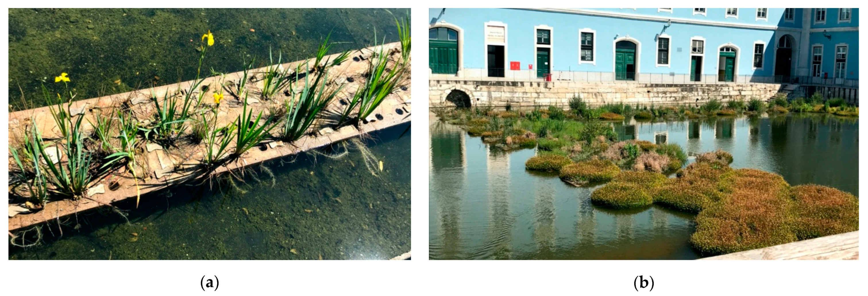 Hydrology 09 00114 g007