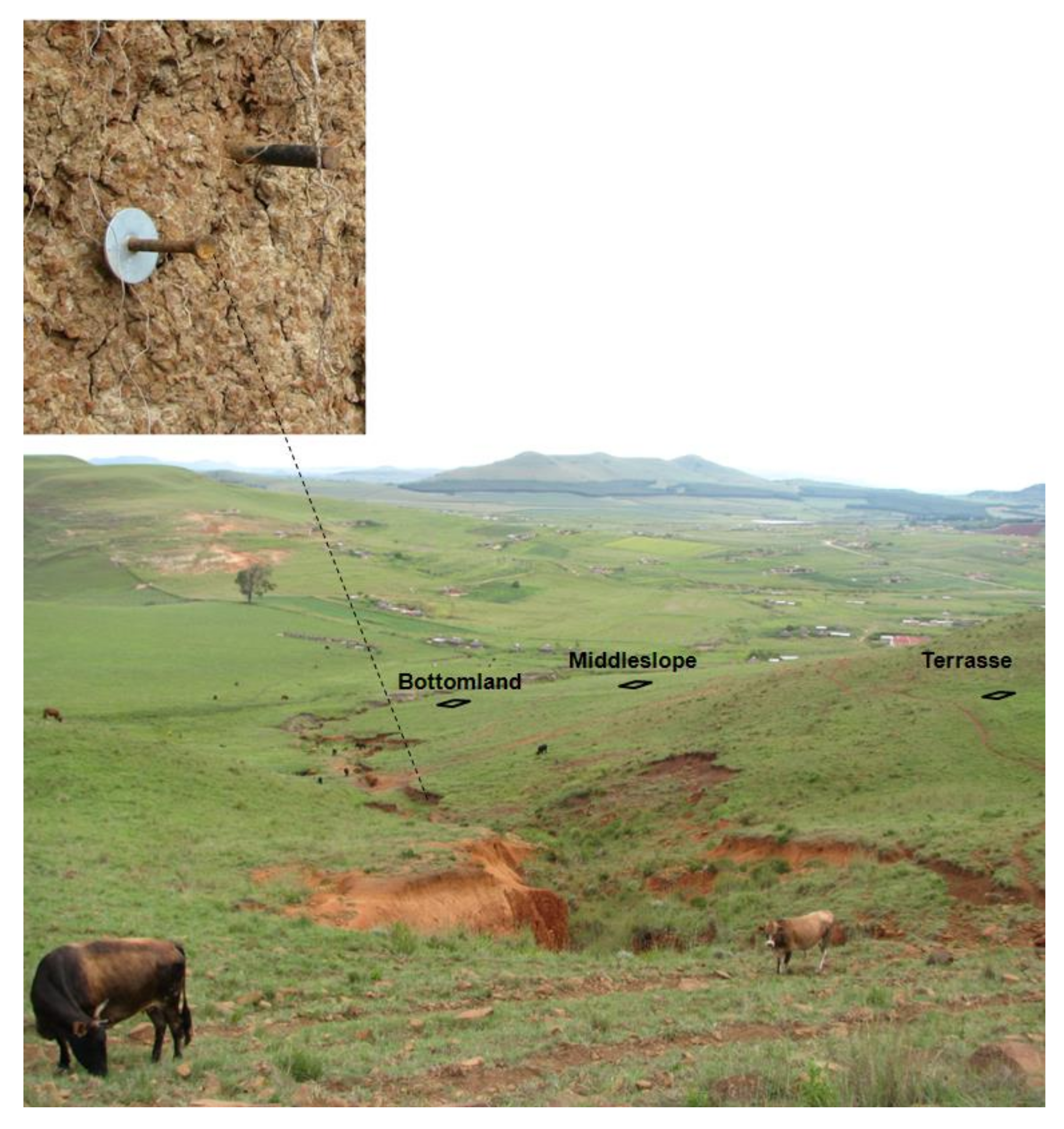 Hydrology 09 00121 g002