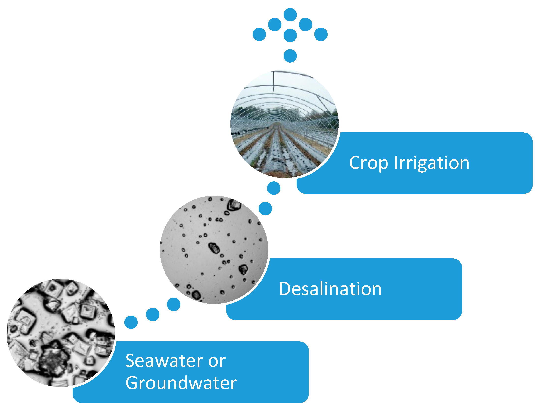 Hydrology 09 00128 g001 Hydrology 09 00128 g001