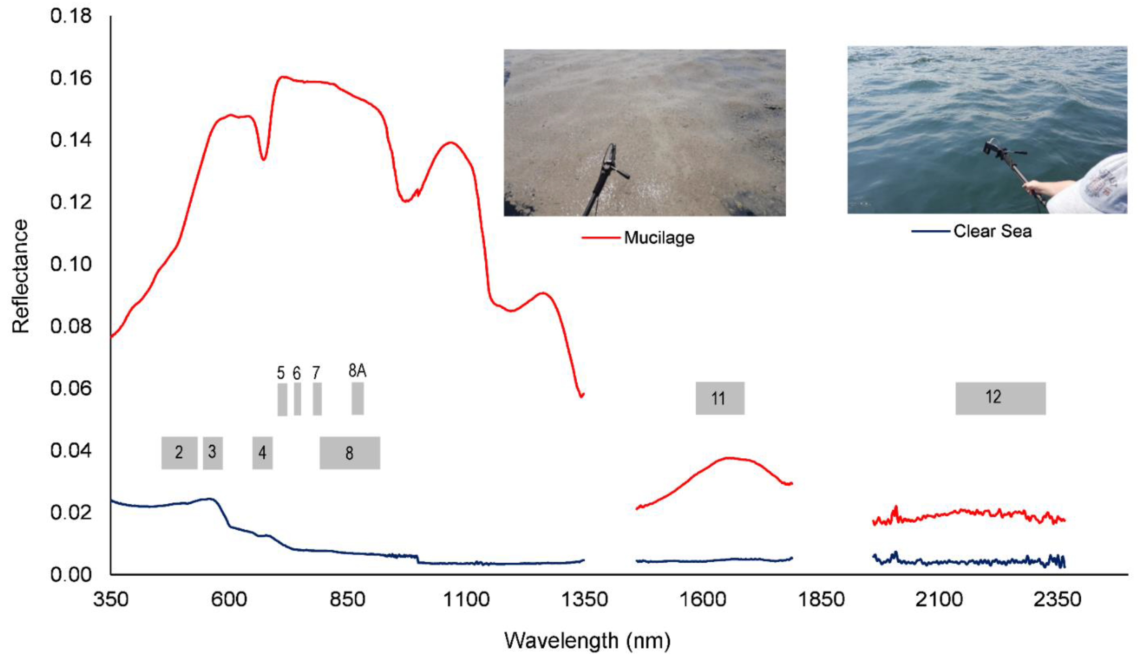 Hydrology 09 00135 g001