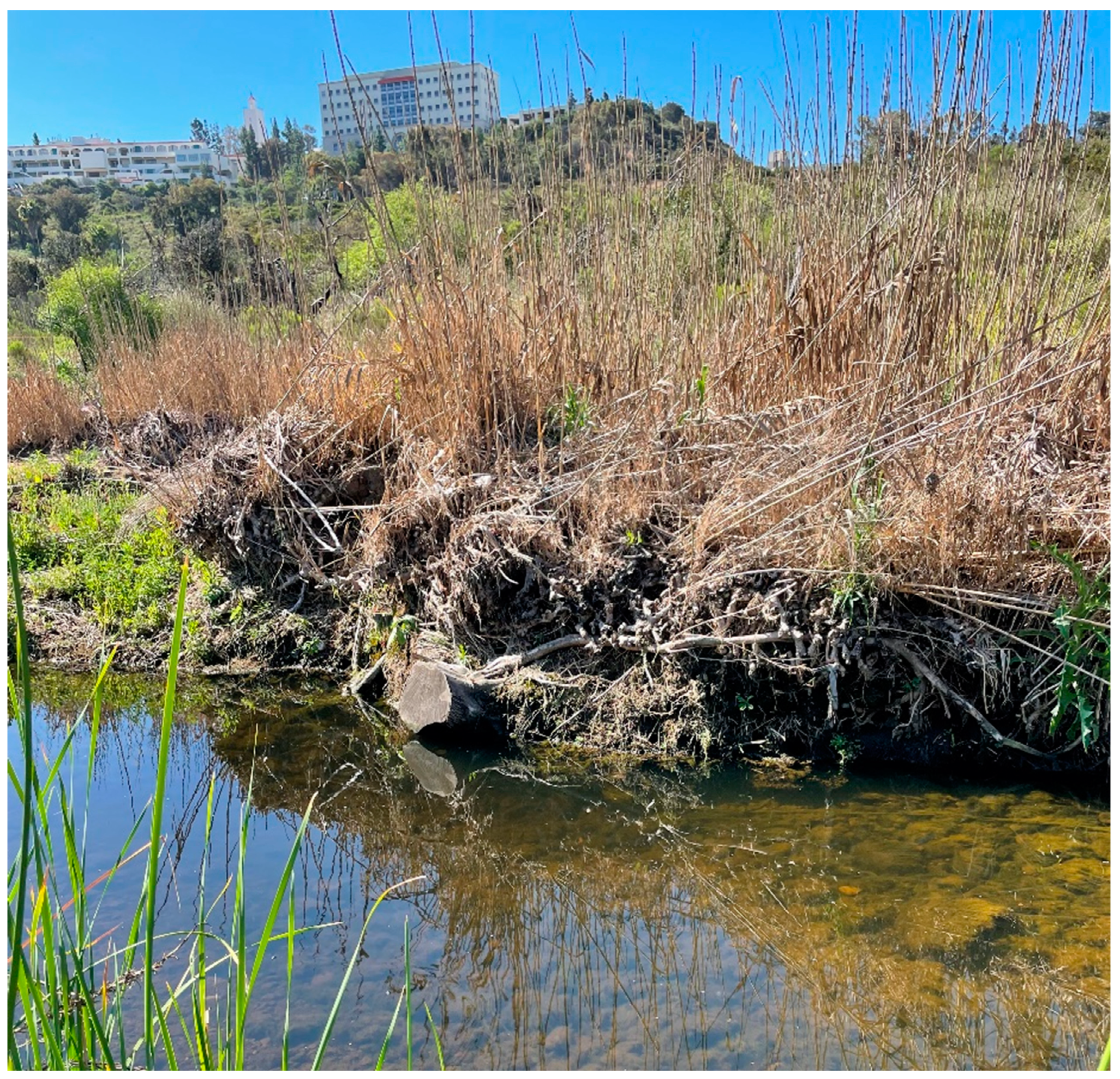 Hydrology 09 00170 g005