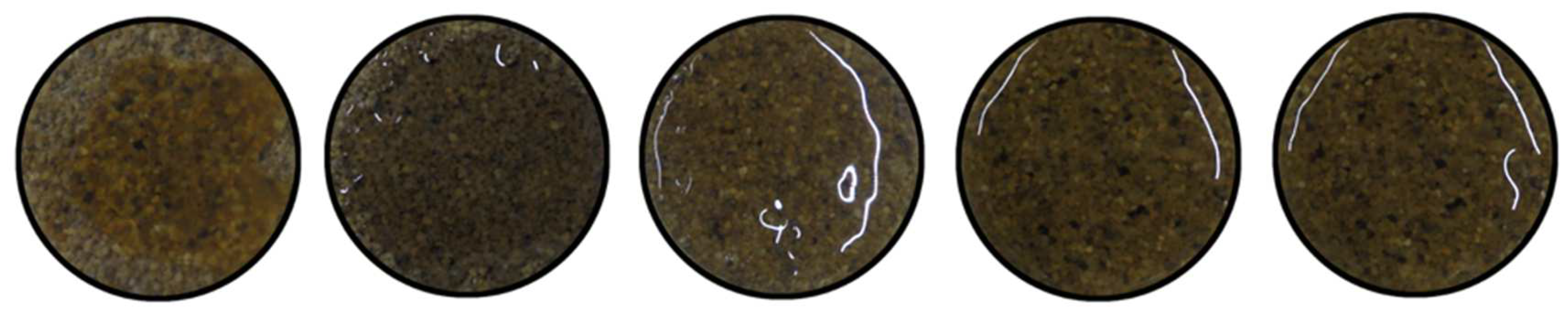 Hydrology 09 00190 g009