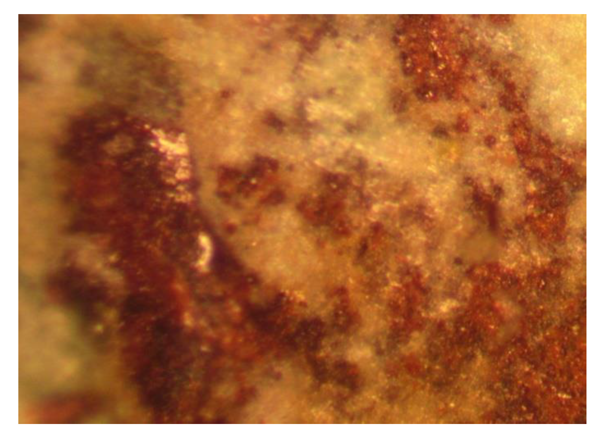 Hydrology 09 00219 g0a5