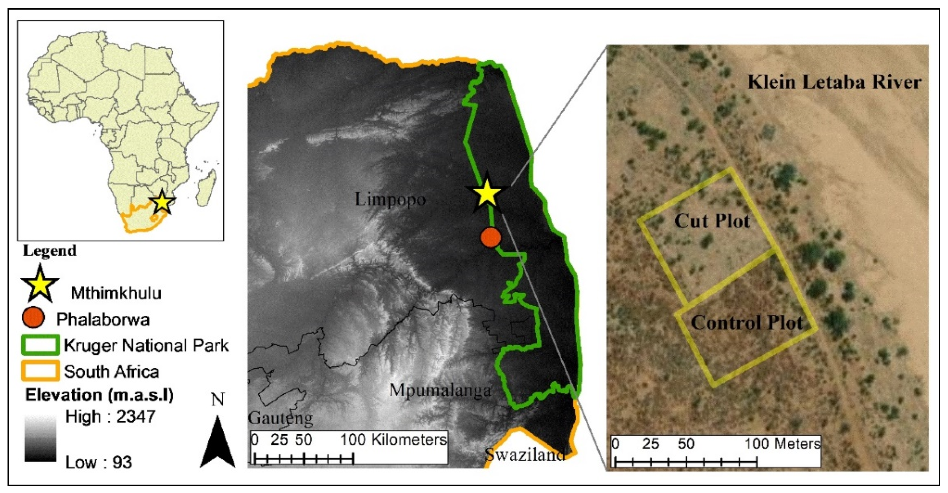 Hydrology 10 00009 g001