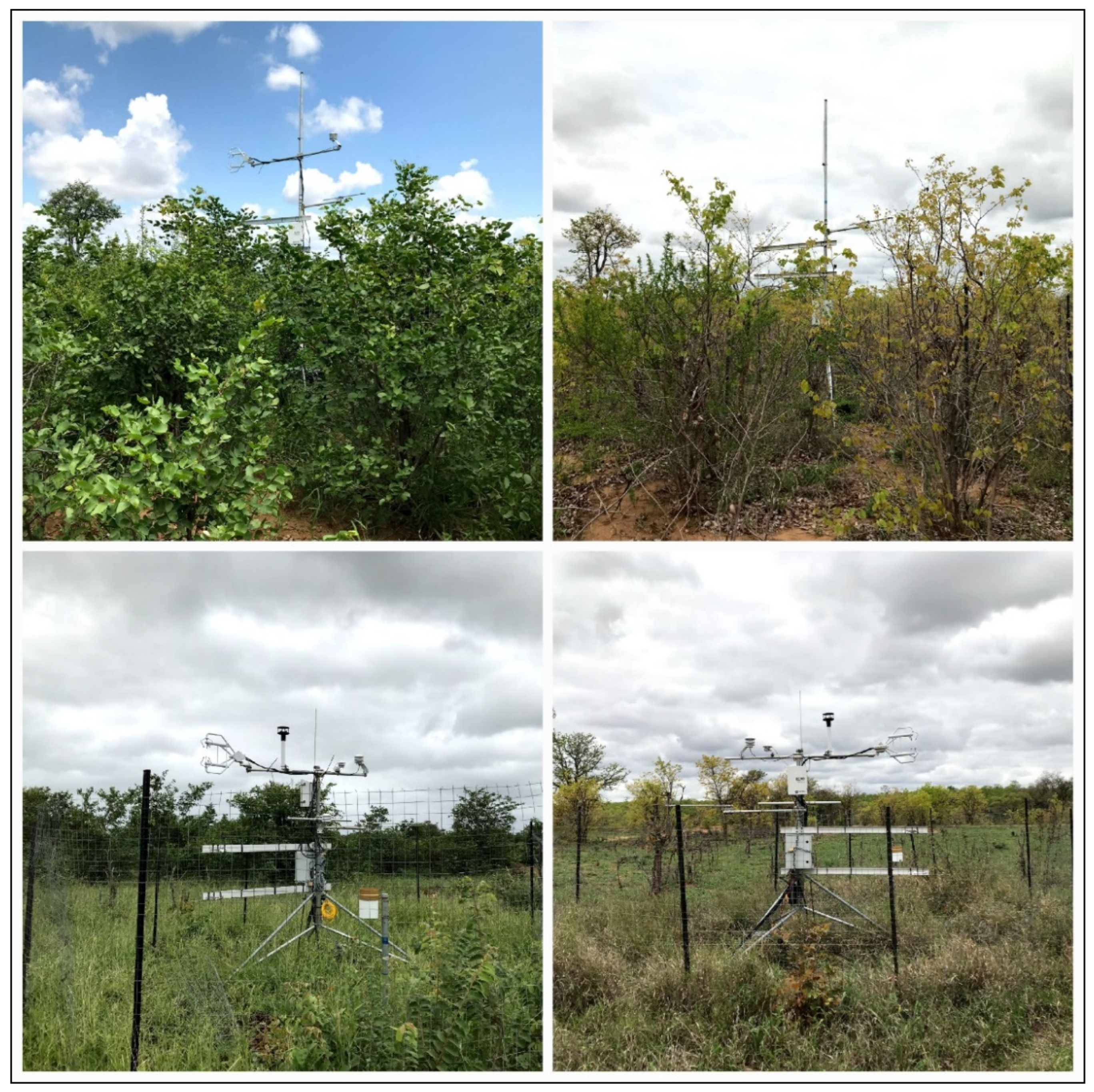 Hydrology 10 00009 g002