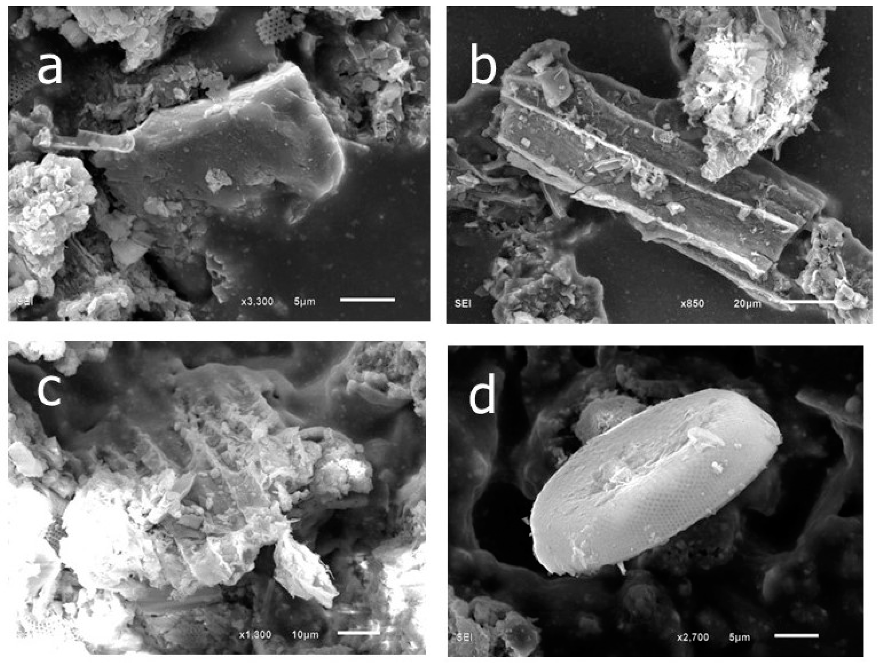 Hydrology 10 00011 g003 Hydrology 10 00011 g003