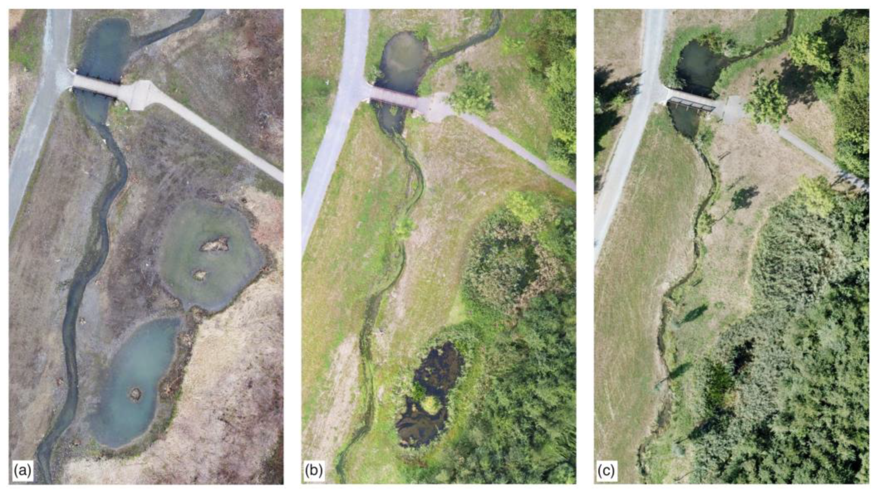 Hydrology 10 00048 g008