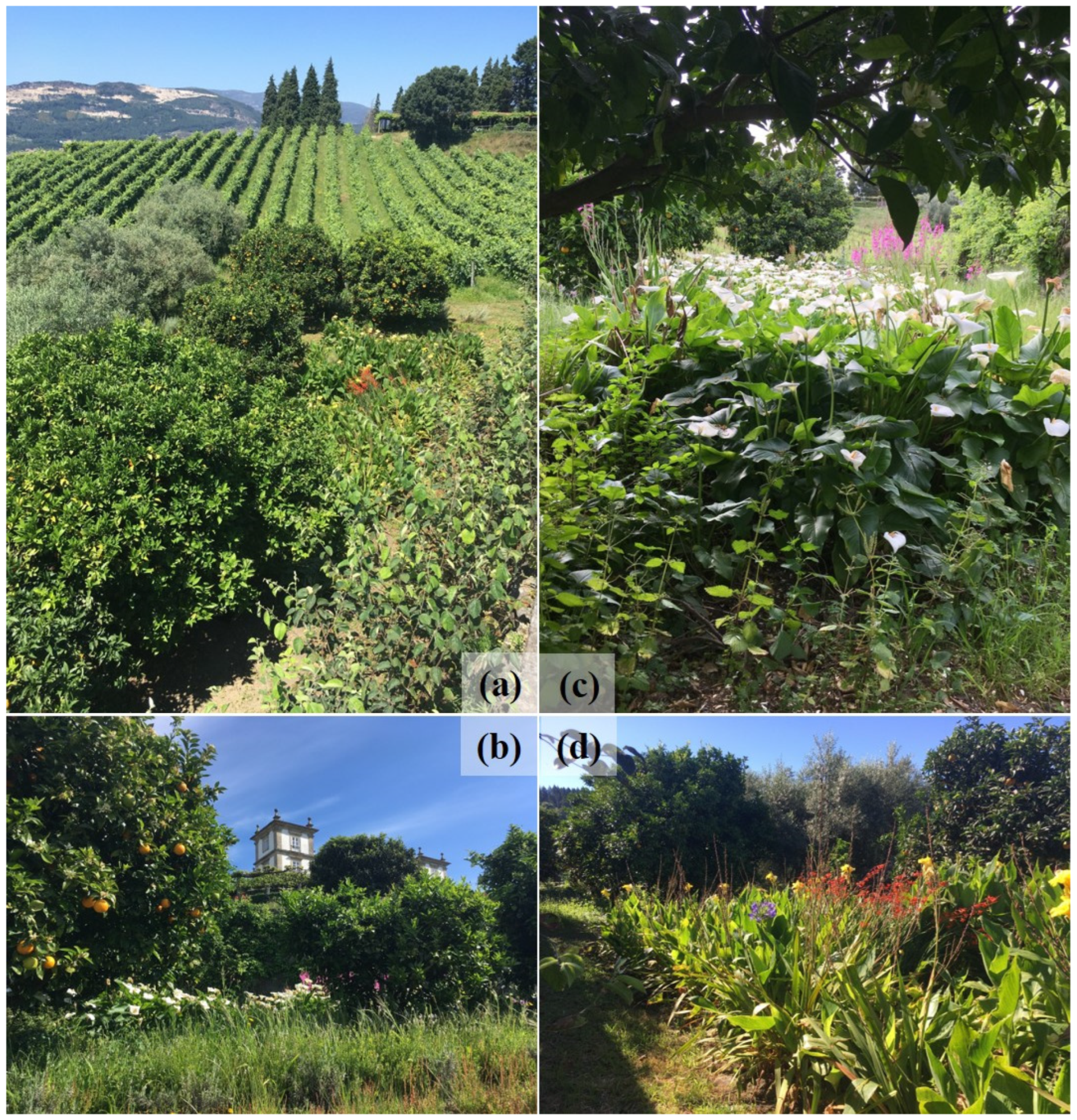 Hydrology 10 00153 g002