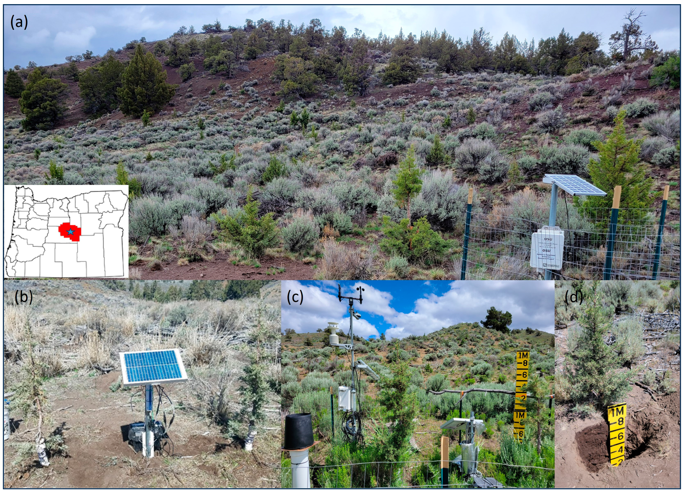 Hydrology 10 00232 g001