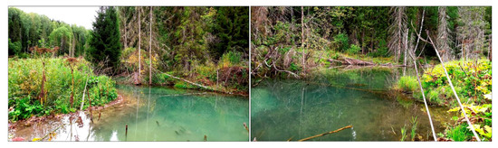 Hydrology 11 00053 g0a1