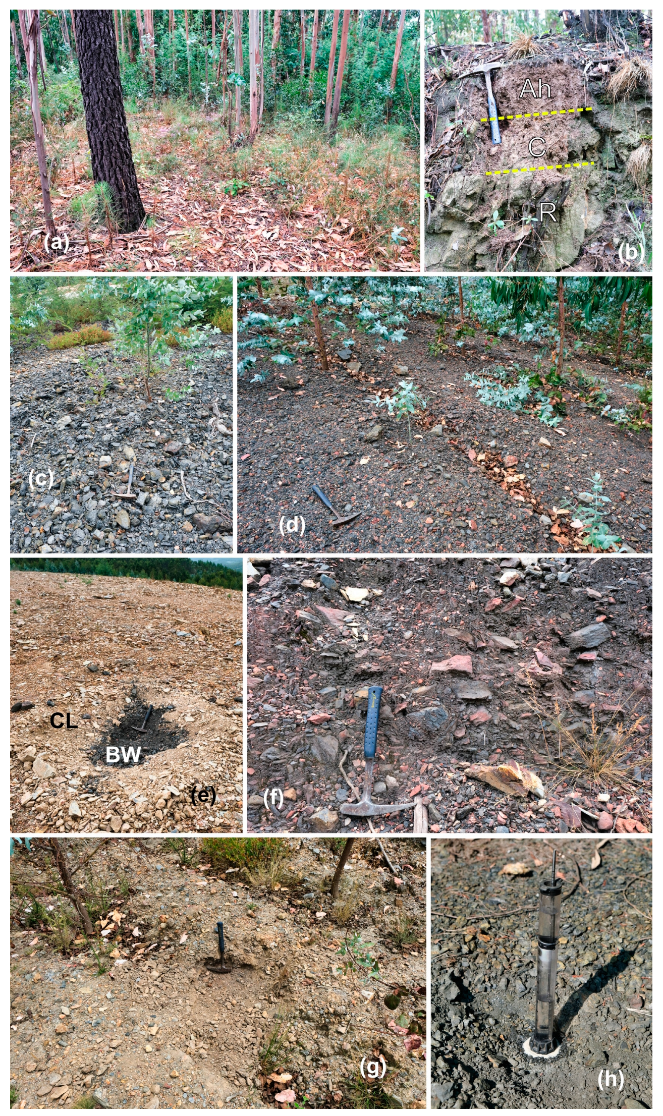 Hydrology 11 00062 g002