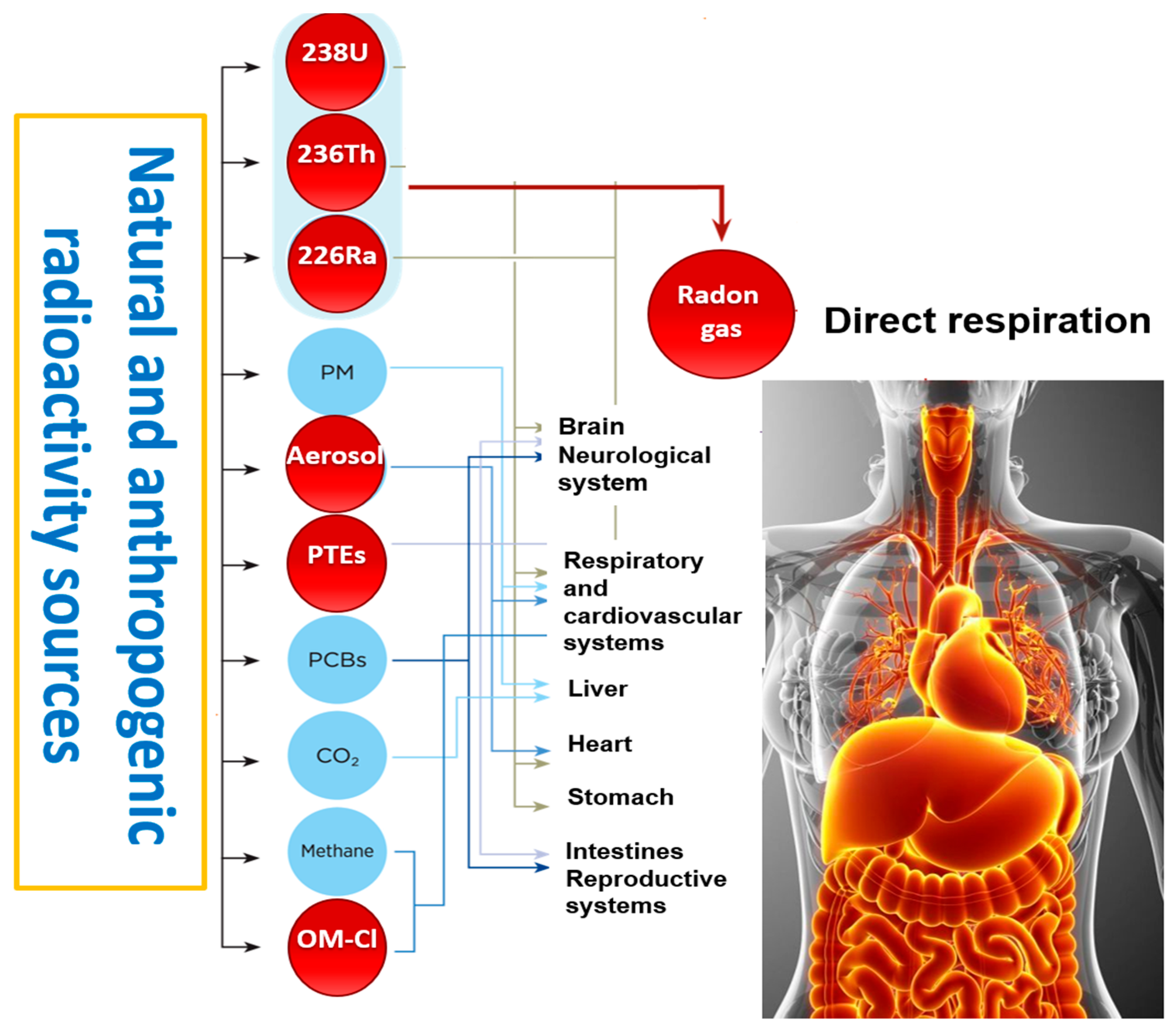 Hydrology 11 00084 g006