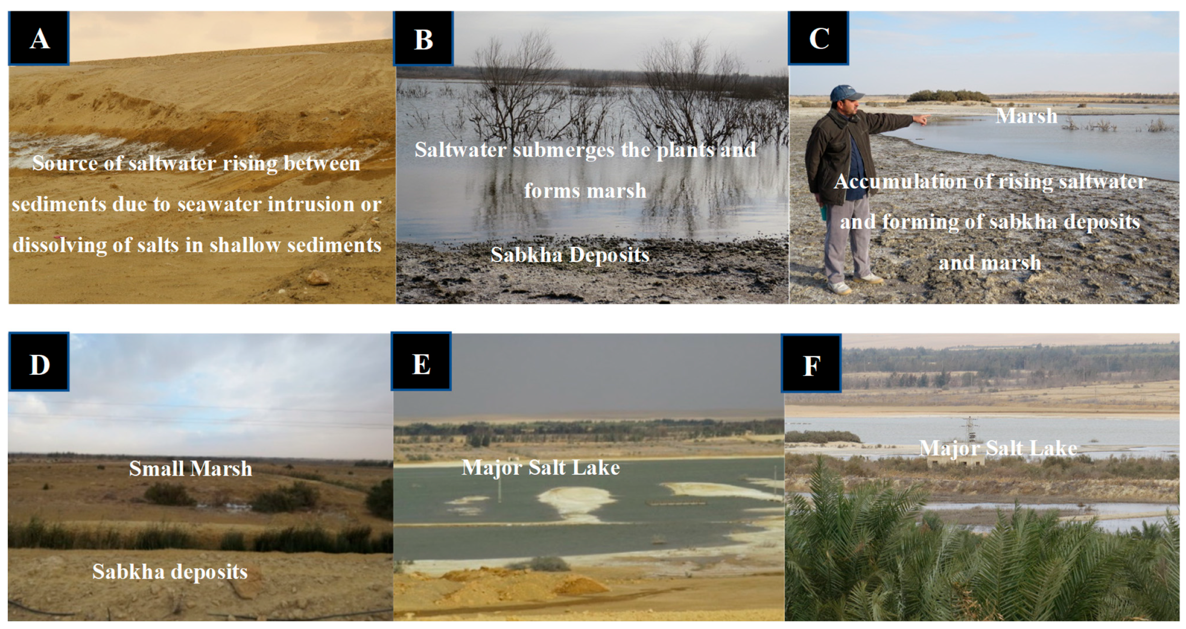 Hydrology 11 00120 g001