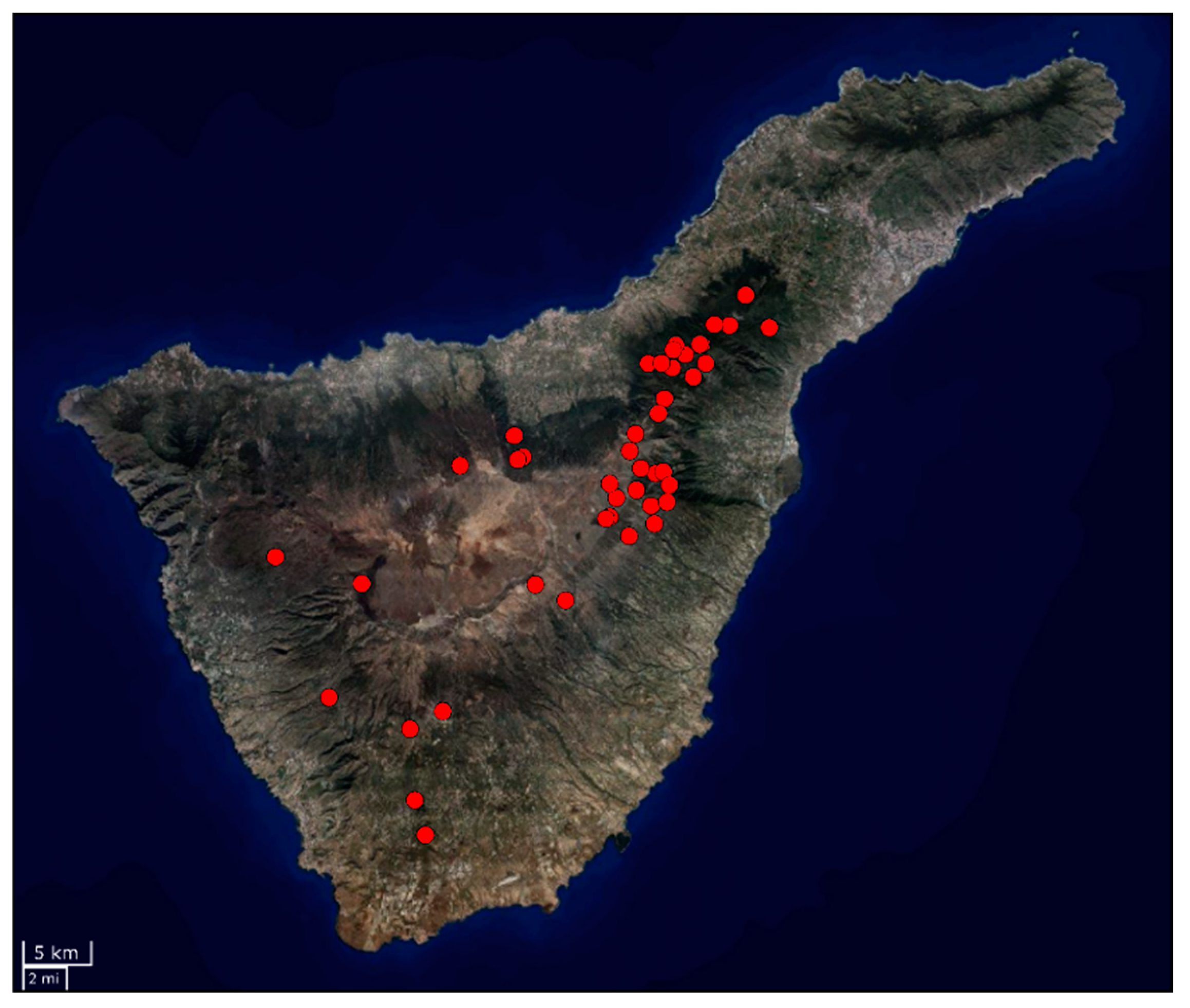 Hydrology 11 00138 g004