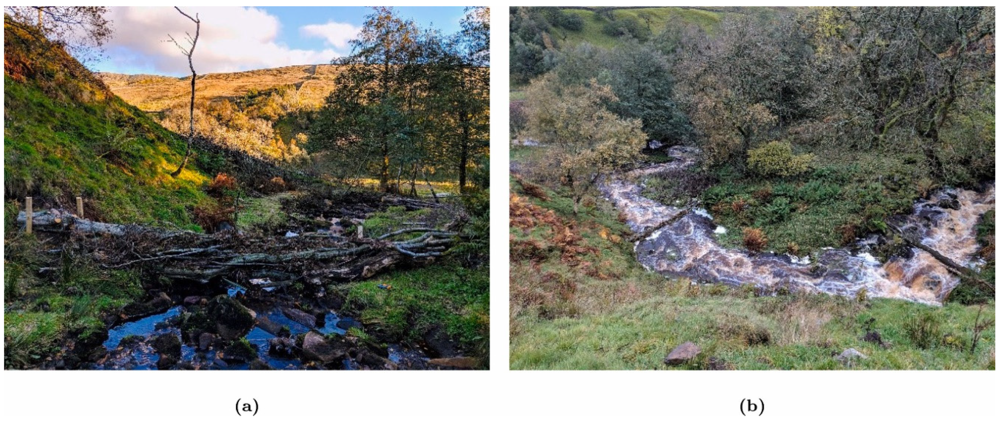 Hydrology 12 00095 g001 Hydrology 12 00095 g001