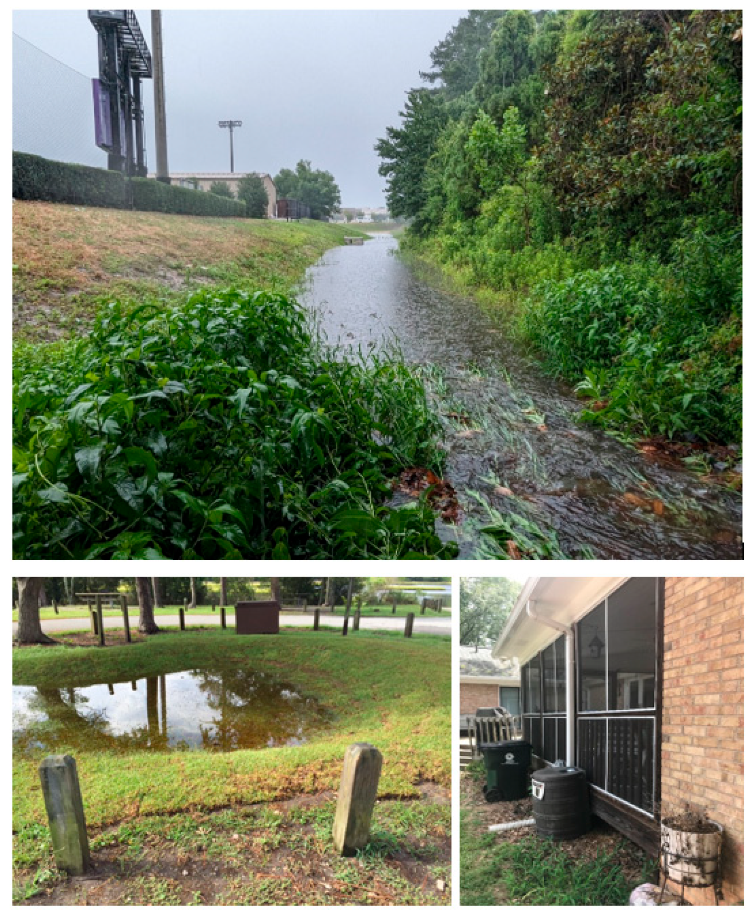 Hydrology 12 00296 g006