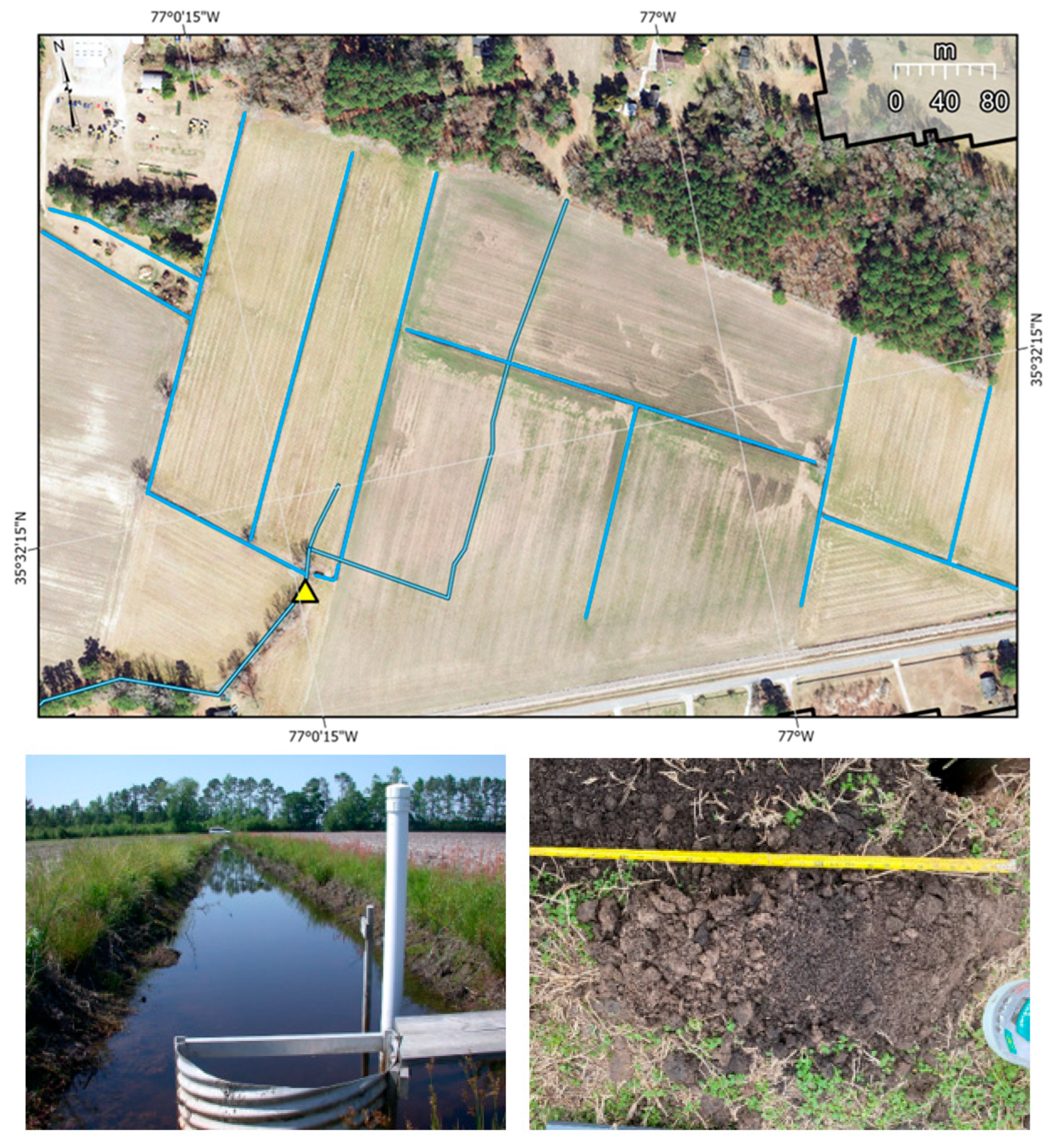 Hydrology 12 00296 g008