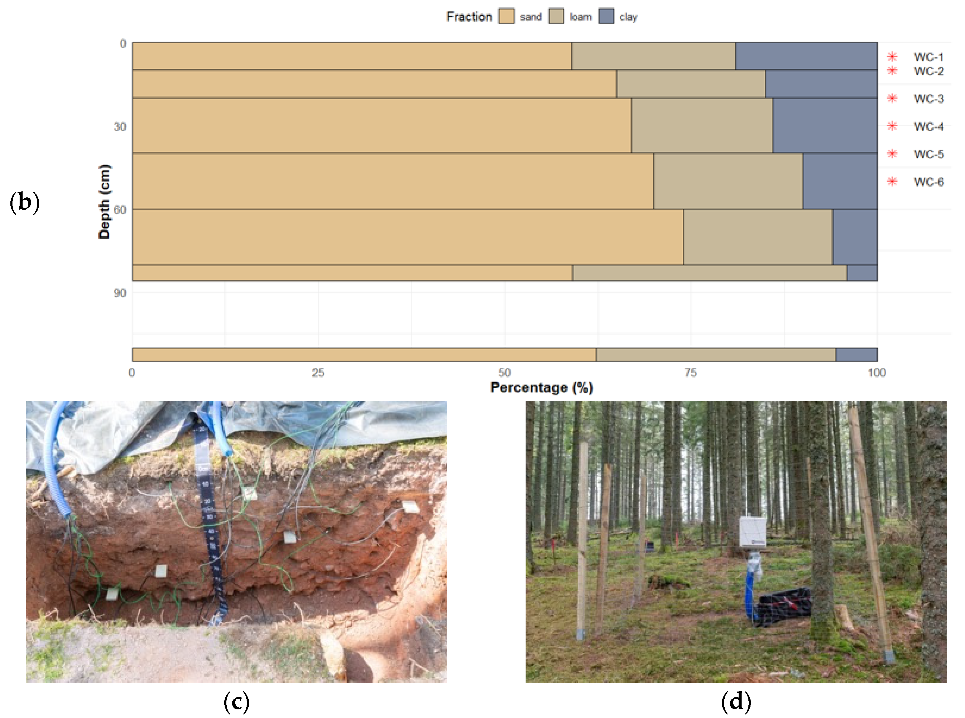 Hydrology 13 00011 g002b