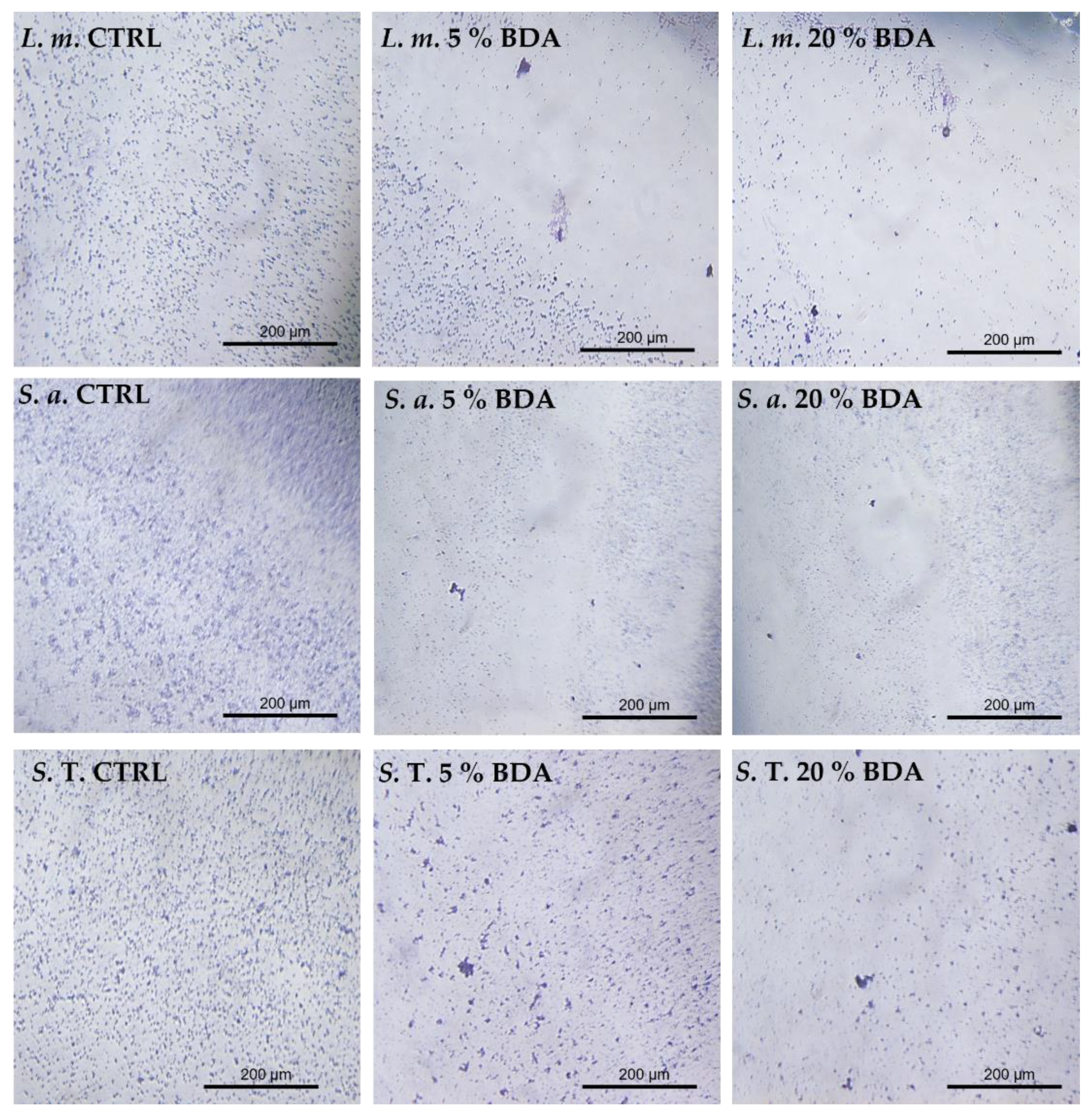 Hygiene 02 00020 g004