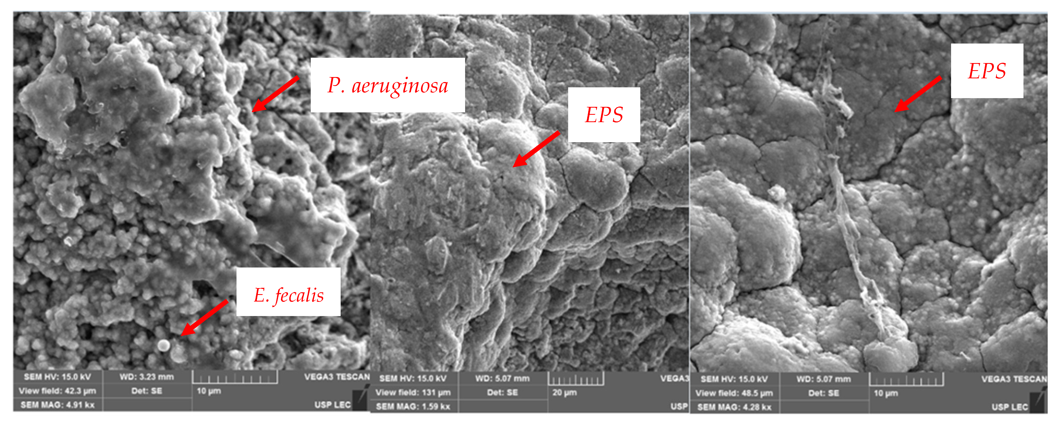 Hygiene 02 00022 g003 Hygiene 02 00022 g003