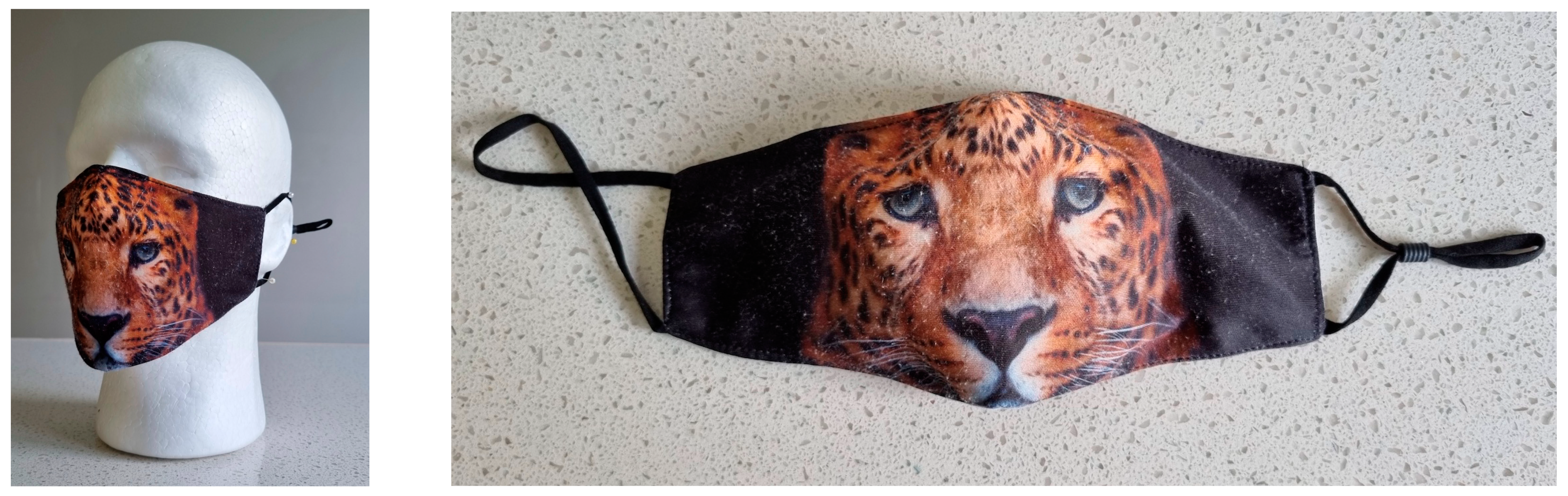 Hygiene 03 00013 g021