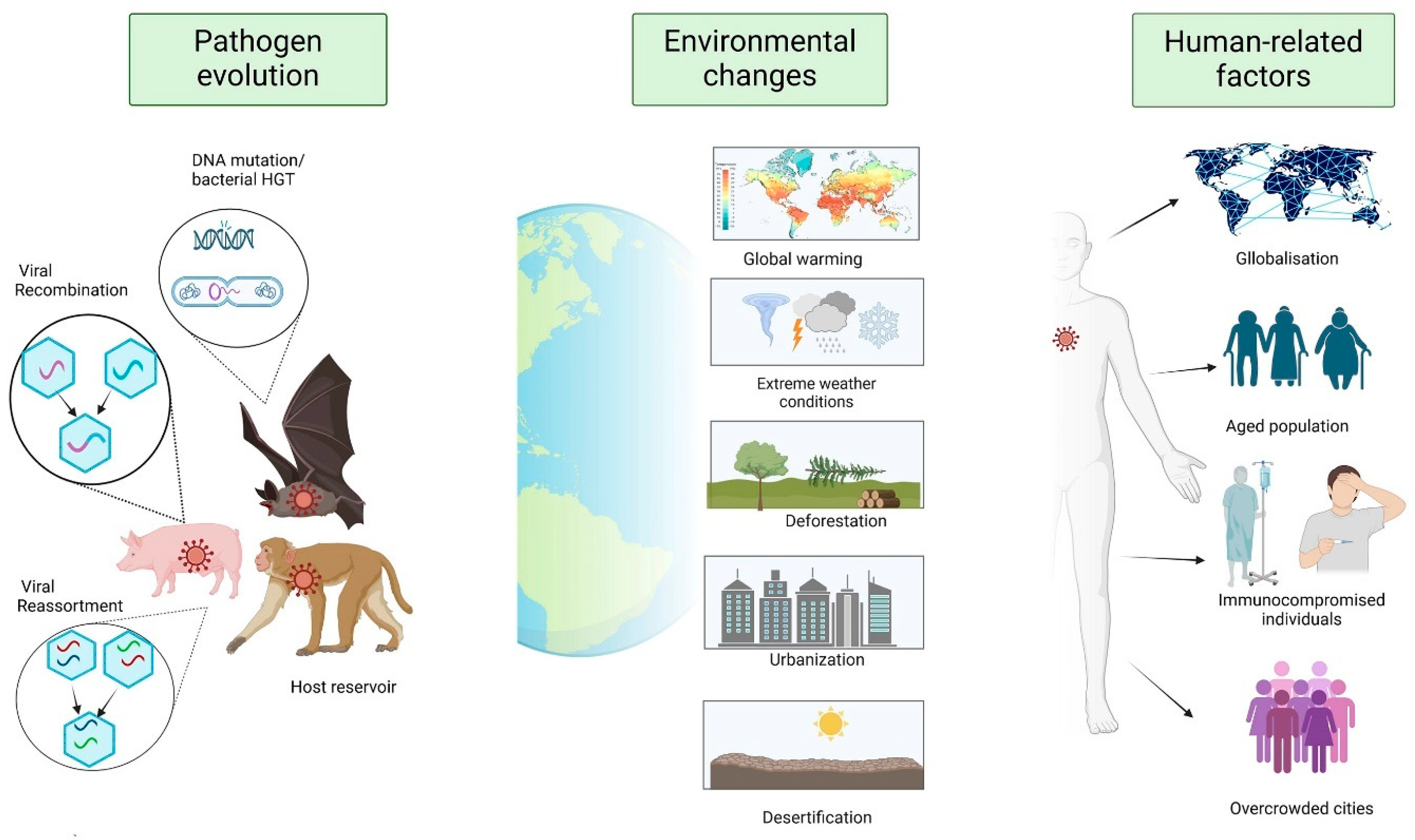 Hygiene 05 00018 g001