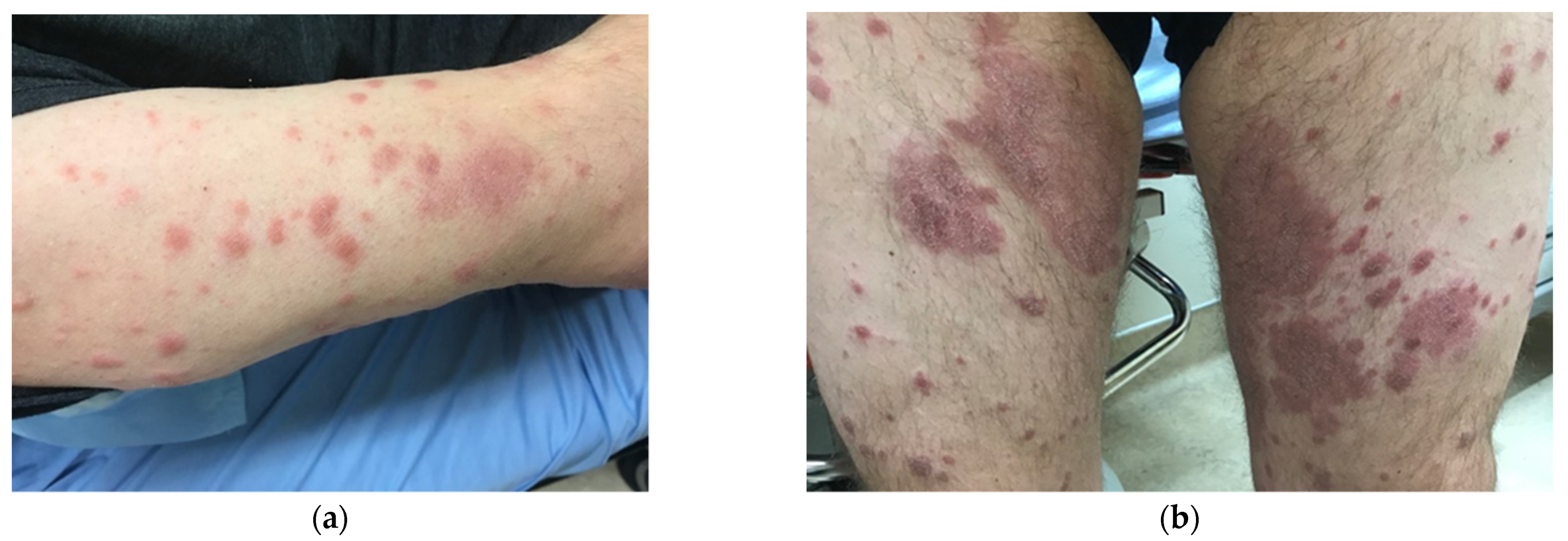 Idr 13 00083 g001a Idr 13 00083 g001a