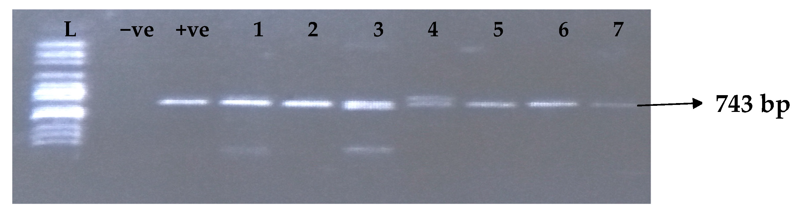 Idr 15 00034 g006 Idr 15 00034 g006